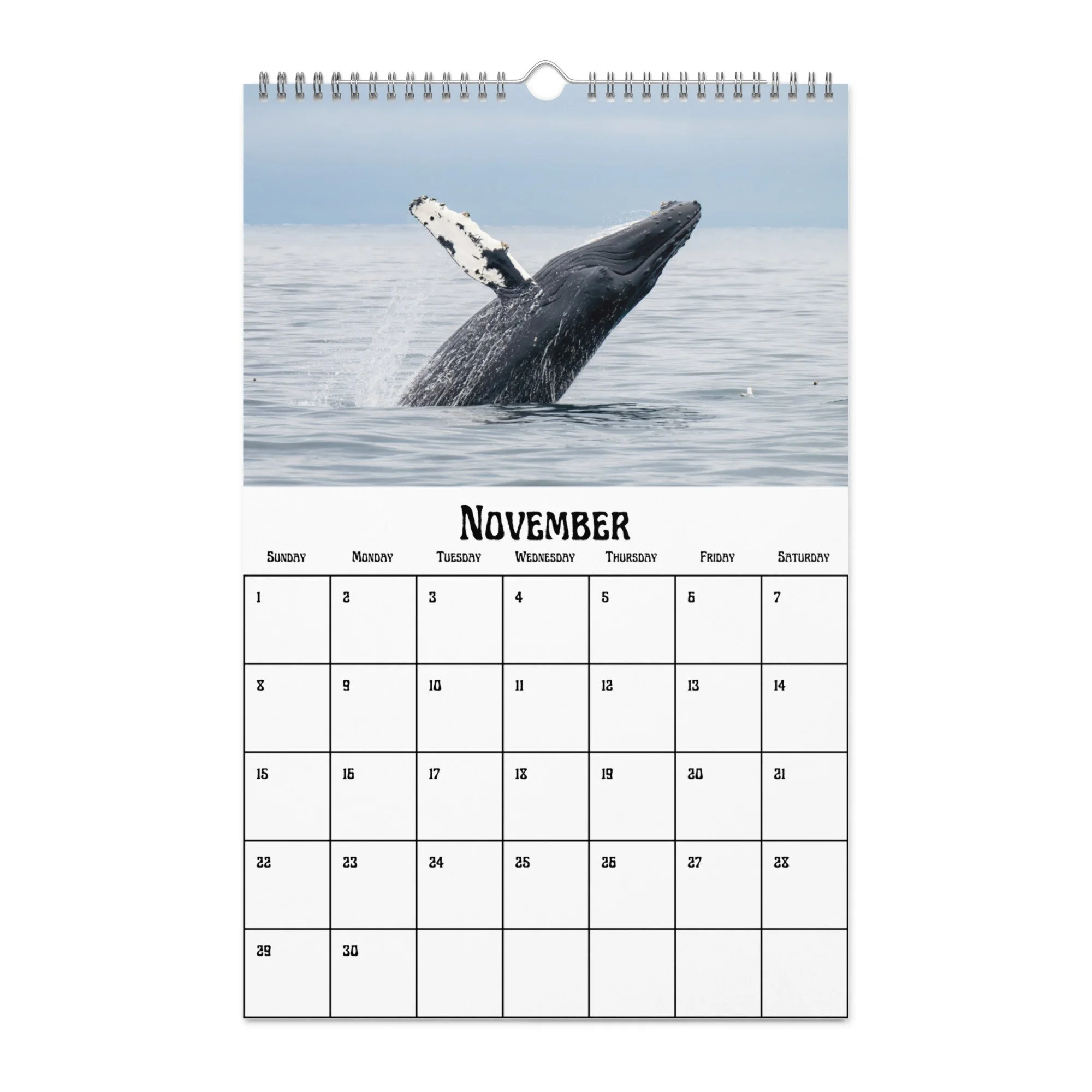 wall-calendar-(blank)-white-11x17-front-68f4a9b4a15d9.jpg