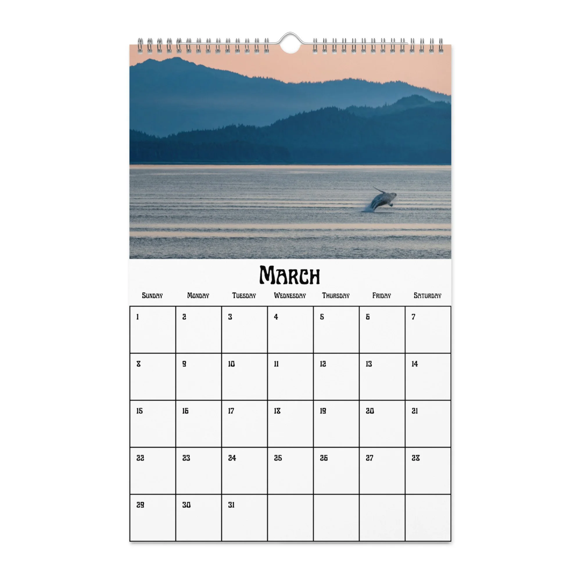 wall-calendar-(blank)-white-11x17-front-68f5489fb2d87.jpg