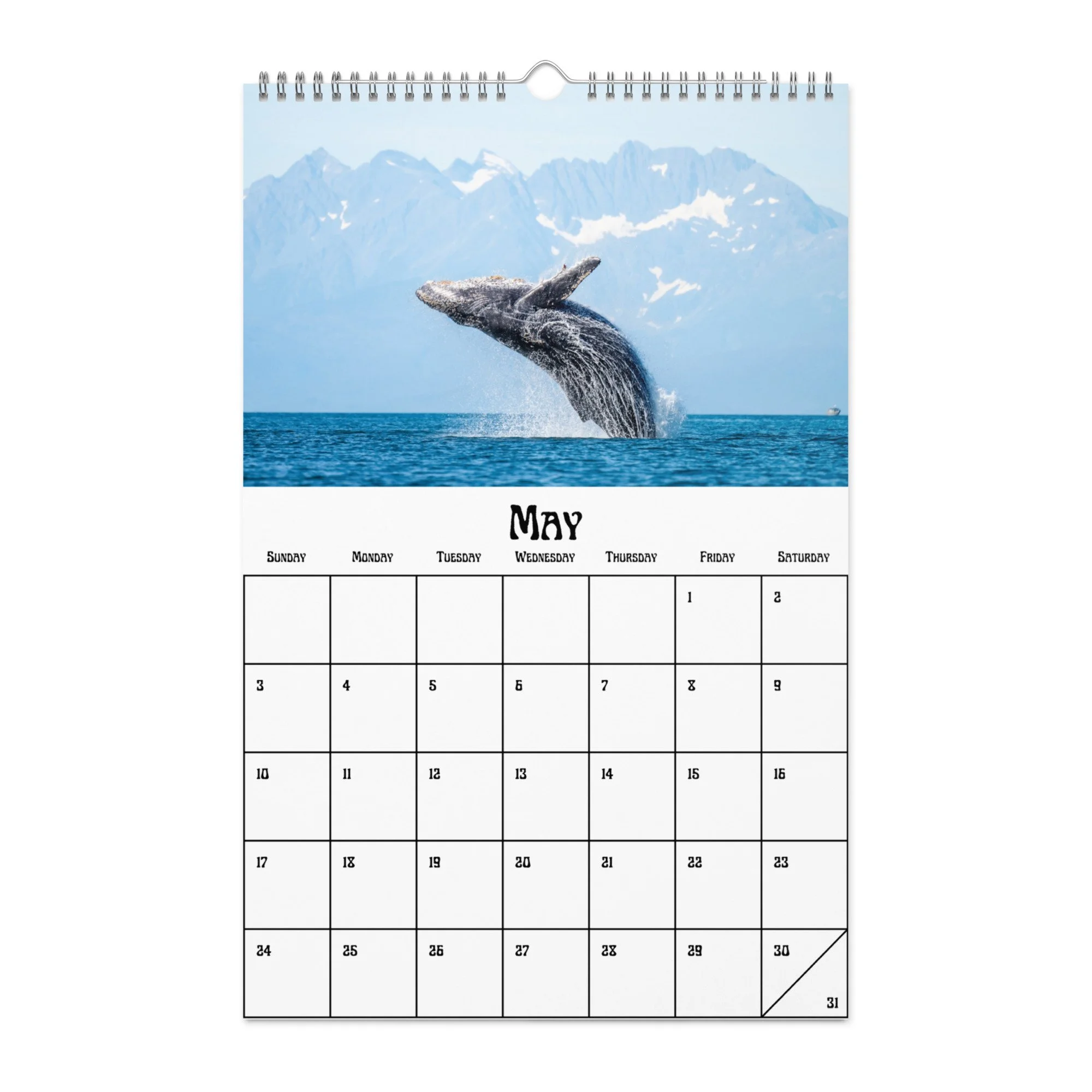 wall-calendar-(blank)-white-11x17-front-68f5489fb2e87.jpg