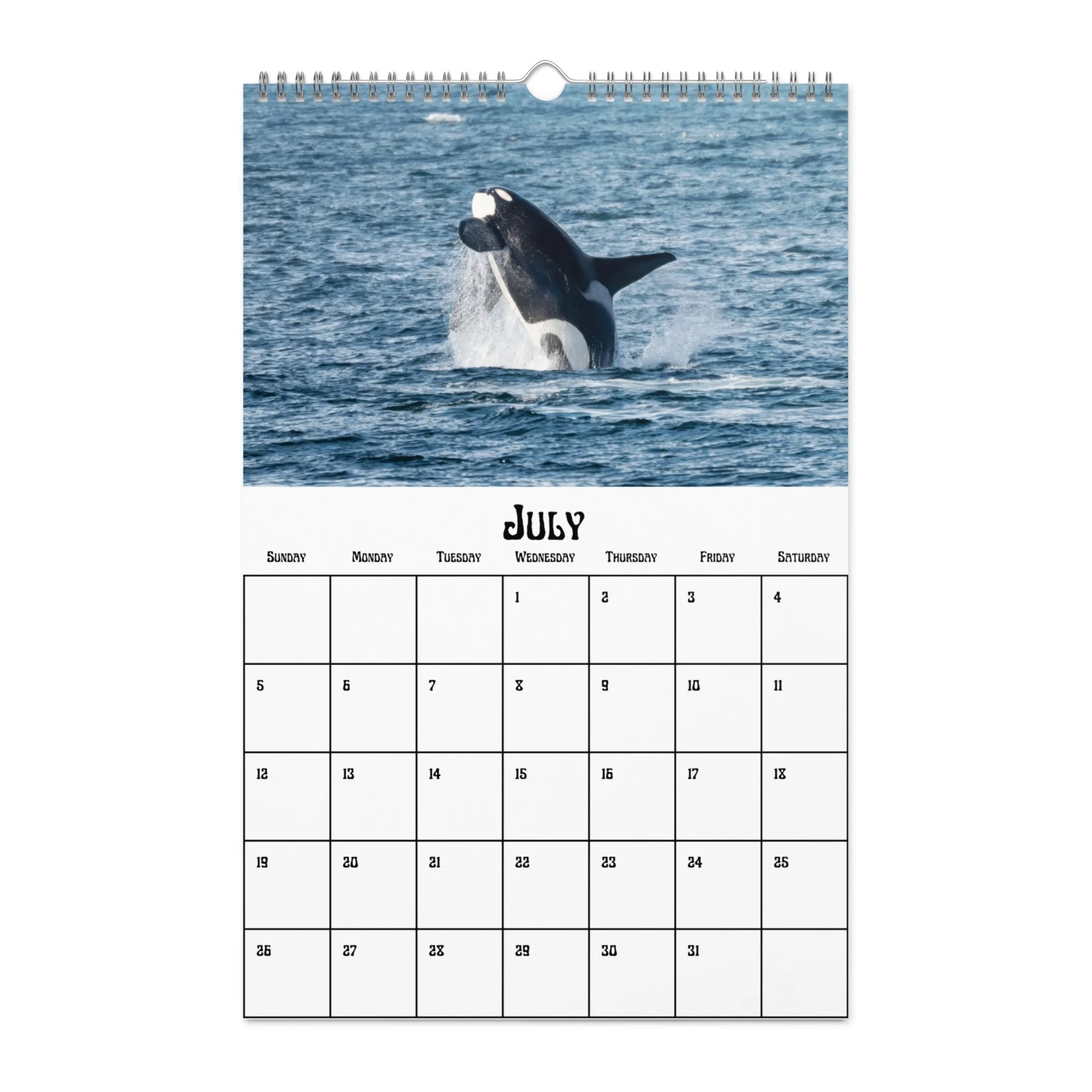 wall-calendar-(blank)-white-11x17-front-68f5489fb306f.jpg