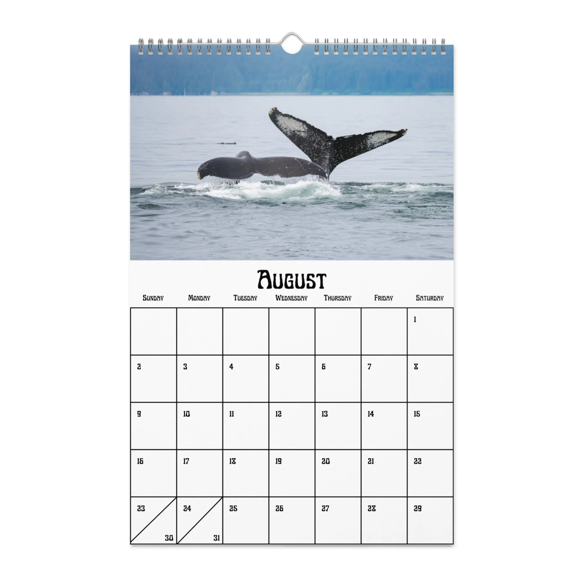 wall-calendar-(blank)-white-11x17-front-68f5489fb3183.jpg