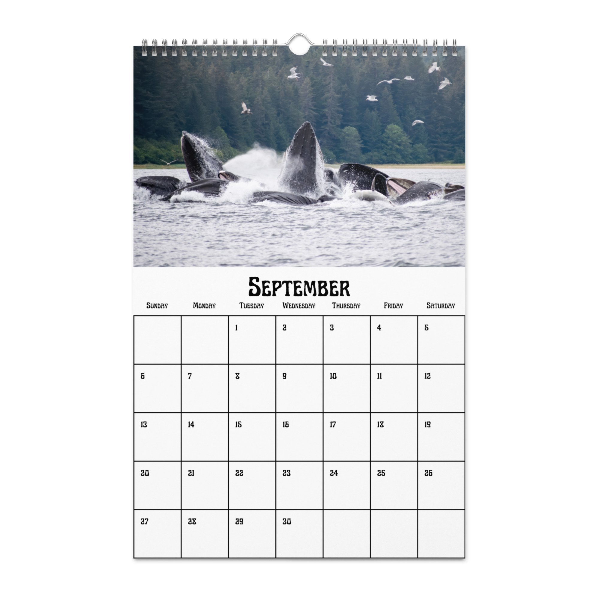 wall-calendar-(blank)-white-11x17-front-68f5489fb328b.jpg