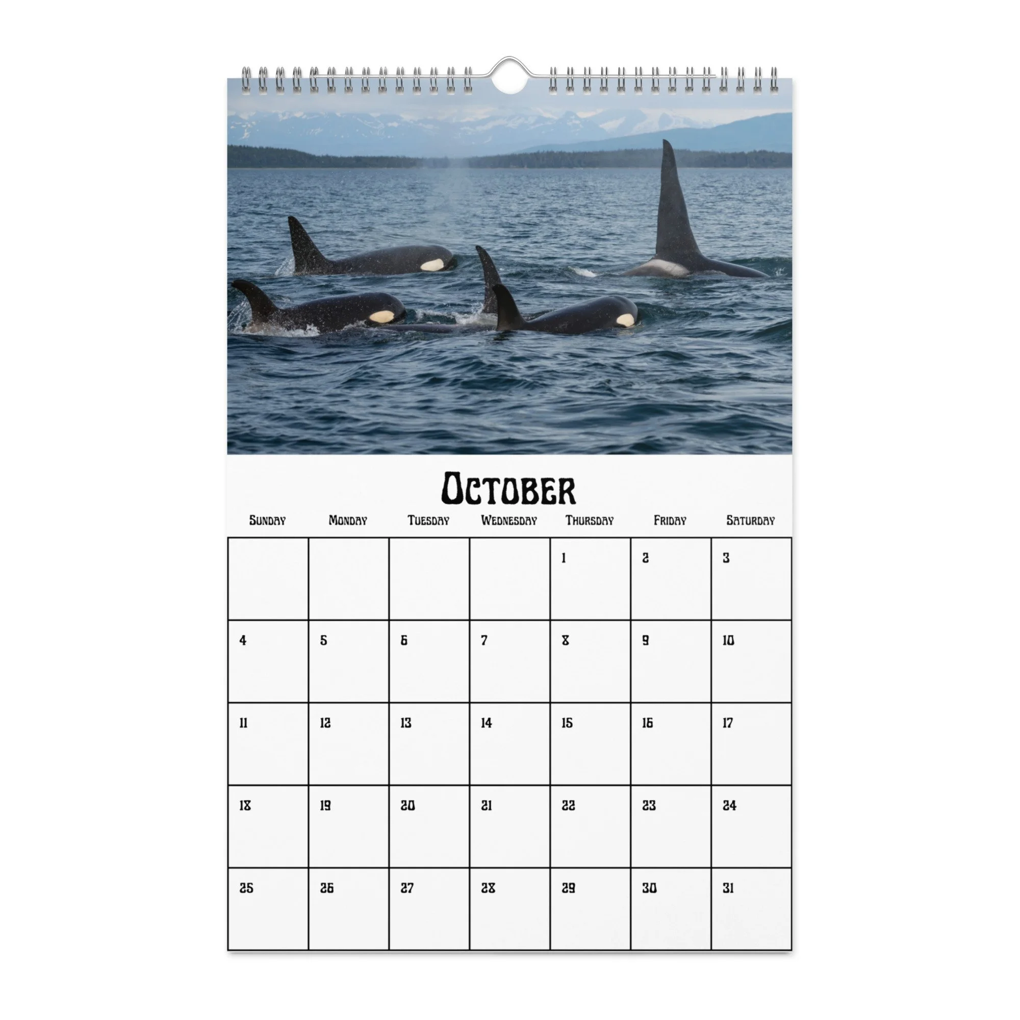 wall-calendar-(blank)-white-11x17-front-68f5489fb3398.jpg