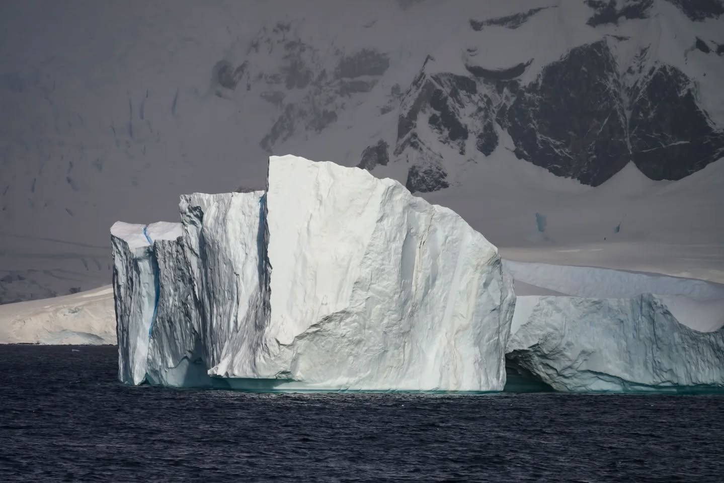 20 moments. A lifetime of memories!

This collection marks the highlights and diversity of a day spent in Antarctica! On January 23rd at 6am the Celebrity Equinox began its sailing through the passages of the antarctic peninsula. Antarctica was every
