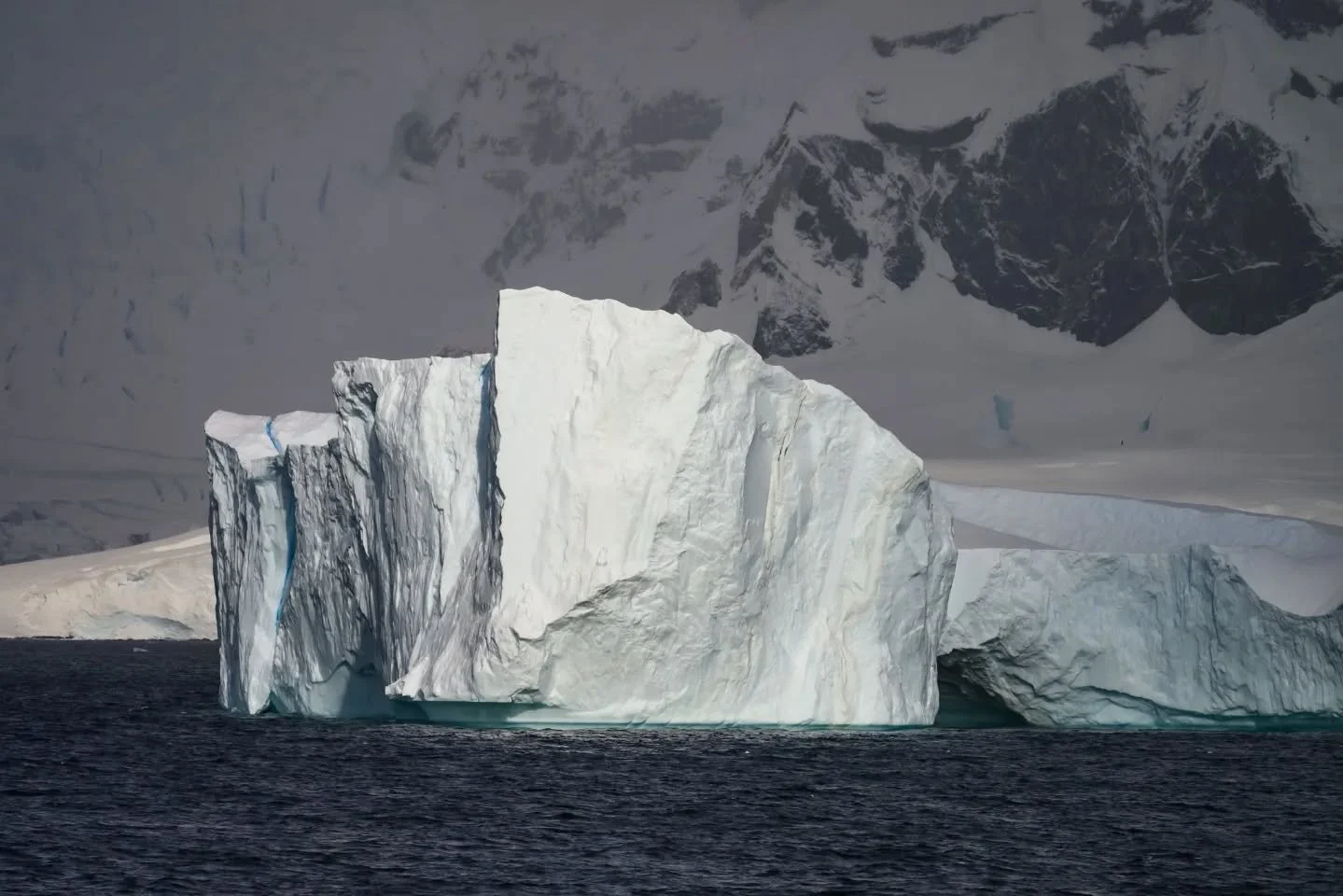 20 moments. A lifetime of memories!

This collection marks the highlights and diversity of a day spent in Antarctica! On January 23rd at 6am the Celebrity Equinox began its sailing through the passages of the antarctic peninsula. Antarctica was every