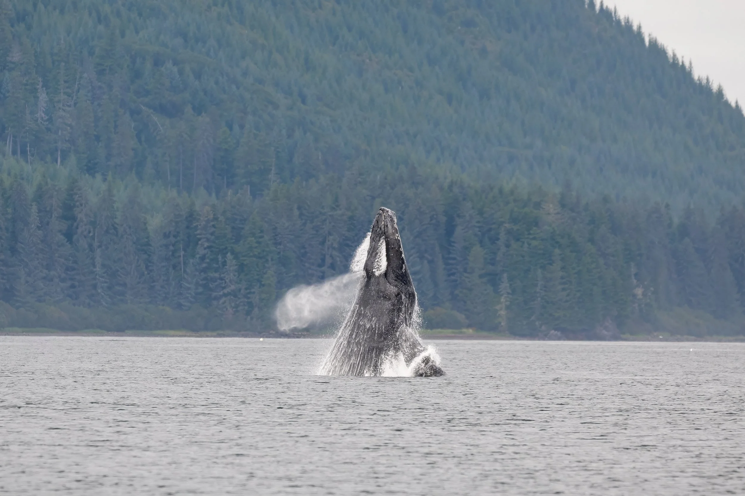 Celebrity Solstice | Southeast Alaska