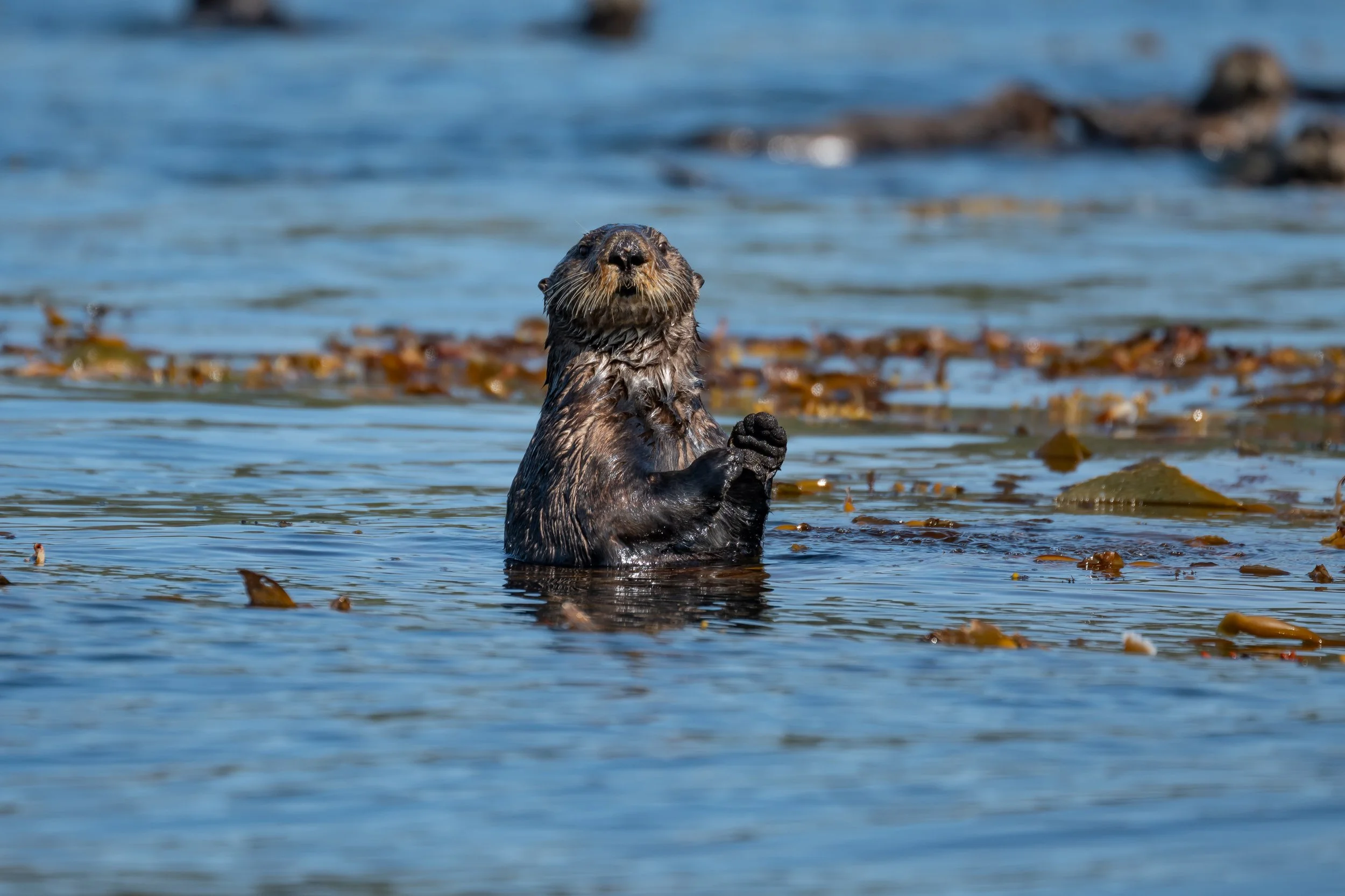 Celebrity Solstice | Southeast Alaska