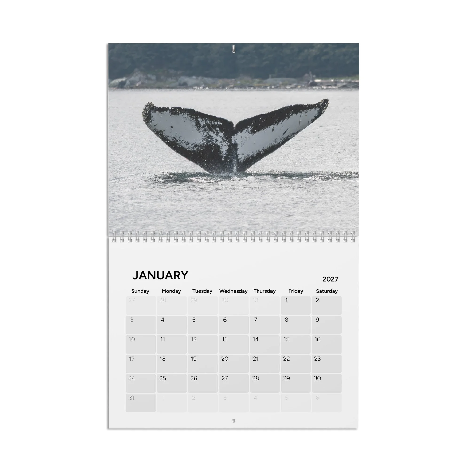 calendar-(2027)-10.8x8.4-front-6acc8ac106f63.jpg