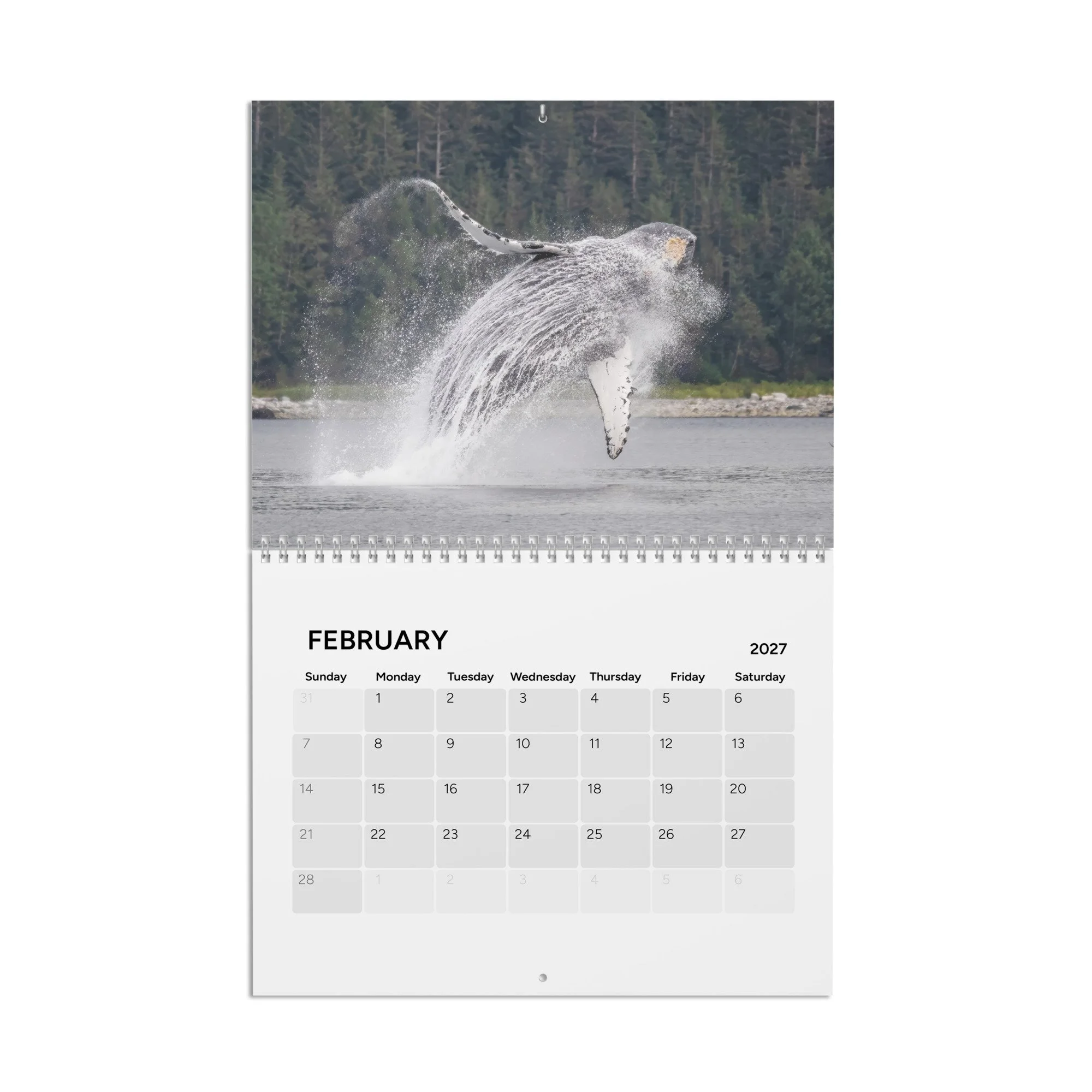 calendar-(2027)-10.8x8.4-front-6acc8ac106fd4.jpg