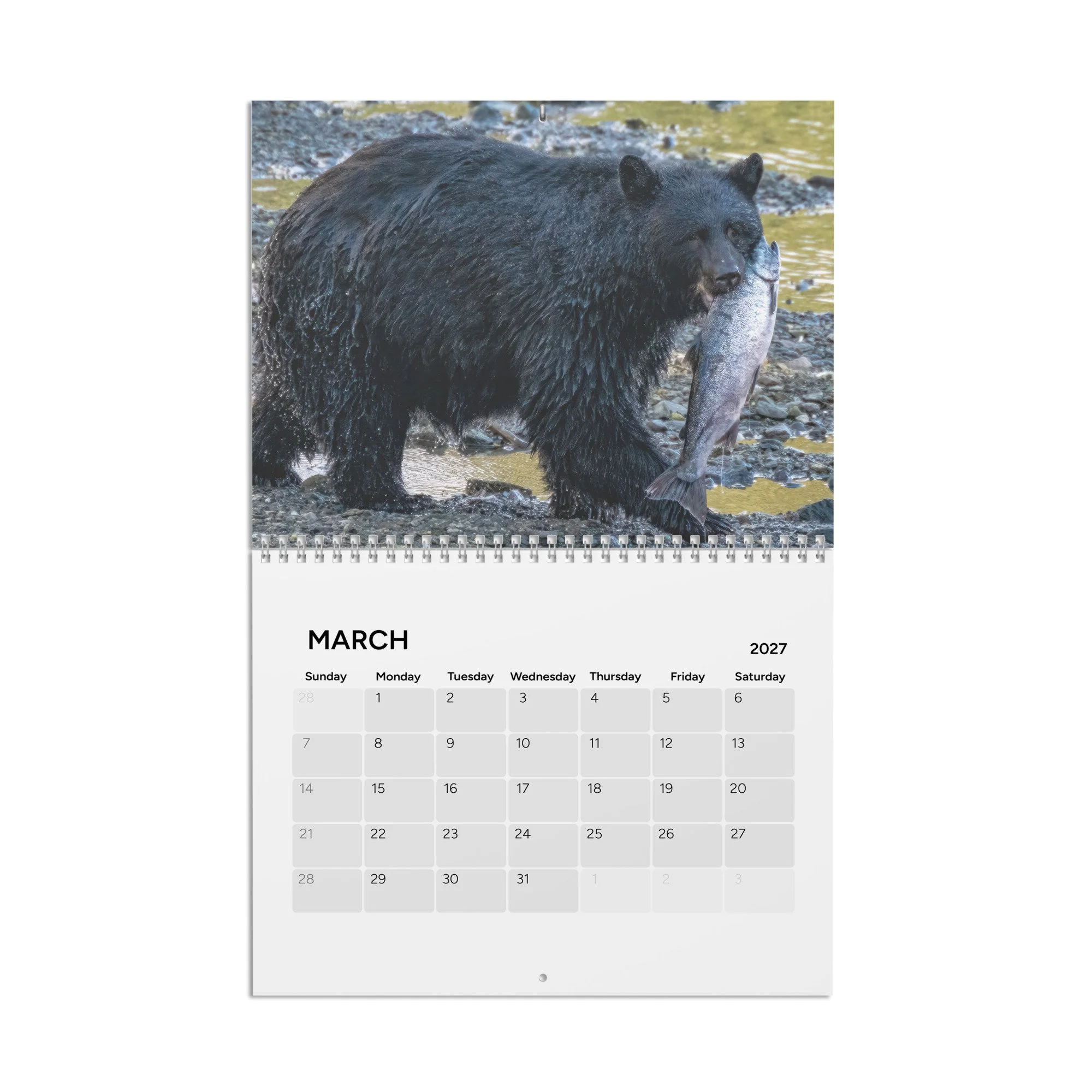 calendar-(2027)-10.8x8.4-front-6acc8ac107026.jpg