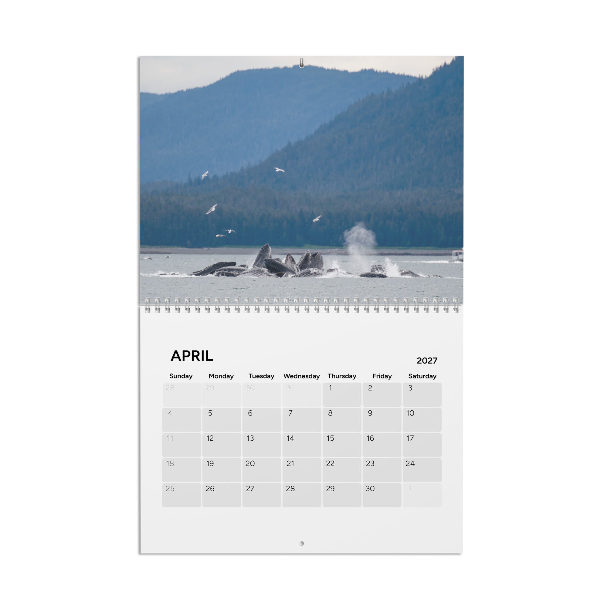 calendar-(2027)-10.8x8.4-front-6acc8ac107075.jpg
