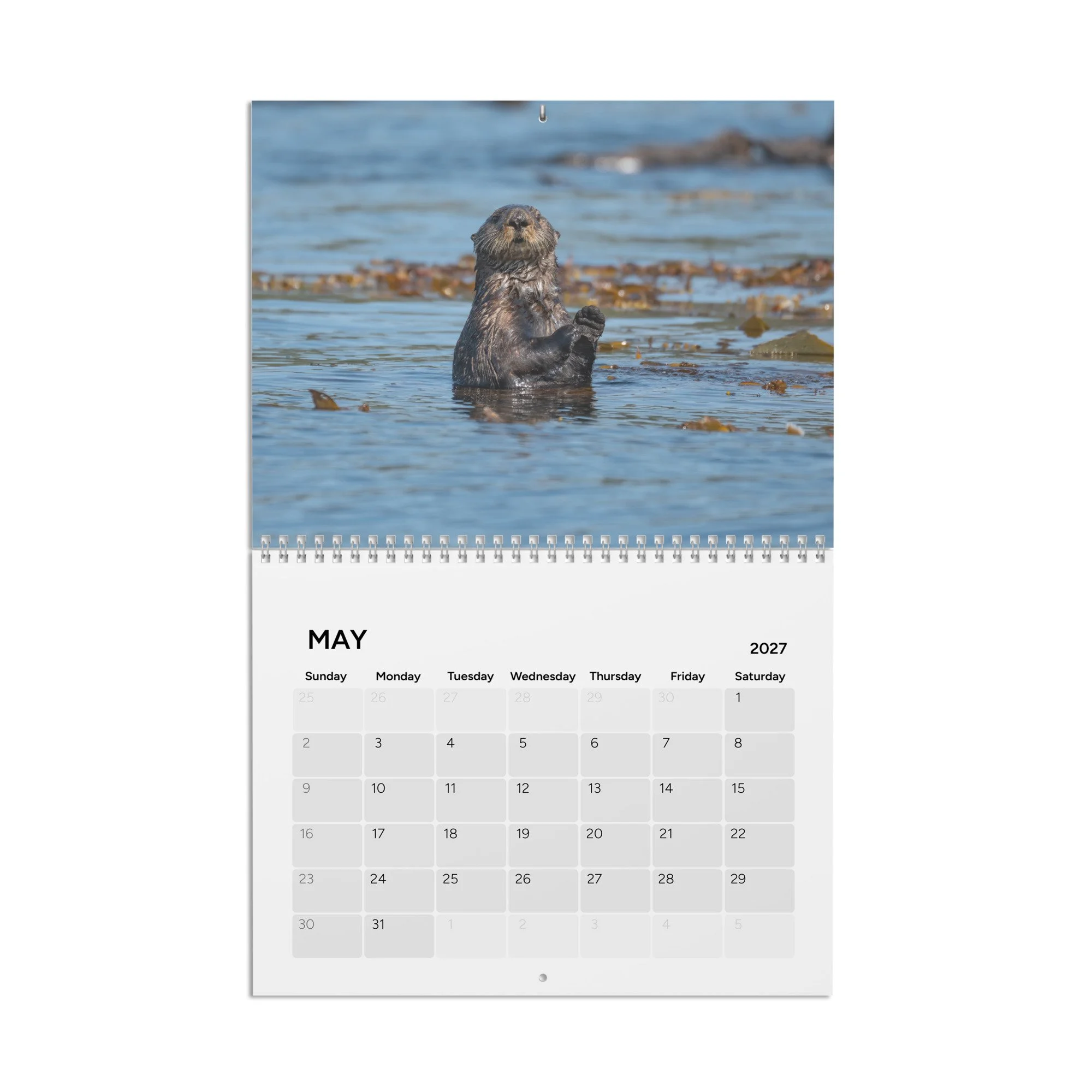 calendar-(2027)-10.8x8.4-front-6acc8ac1070c2.jpg