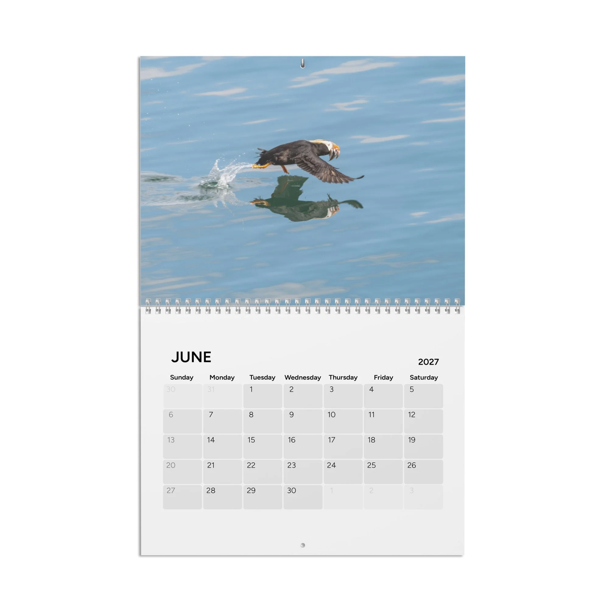 calendar-(2027)-10.8x8.4-front-6acc8ac10710f.jpg
