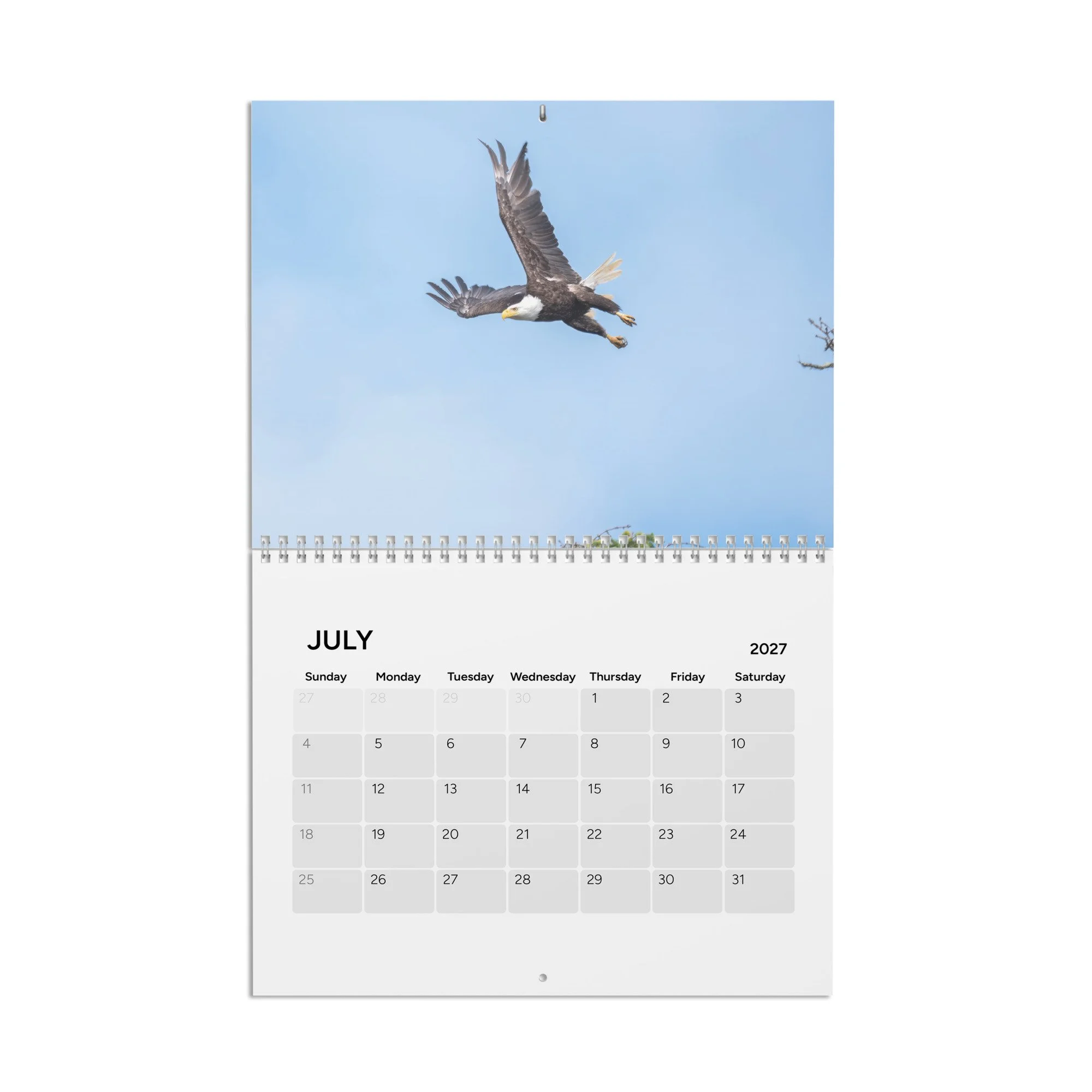 calendar-(2027)-10.8x8.4-front-6acc8ac10715c.jpg