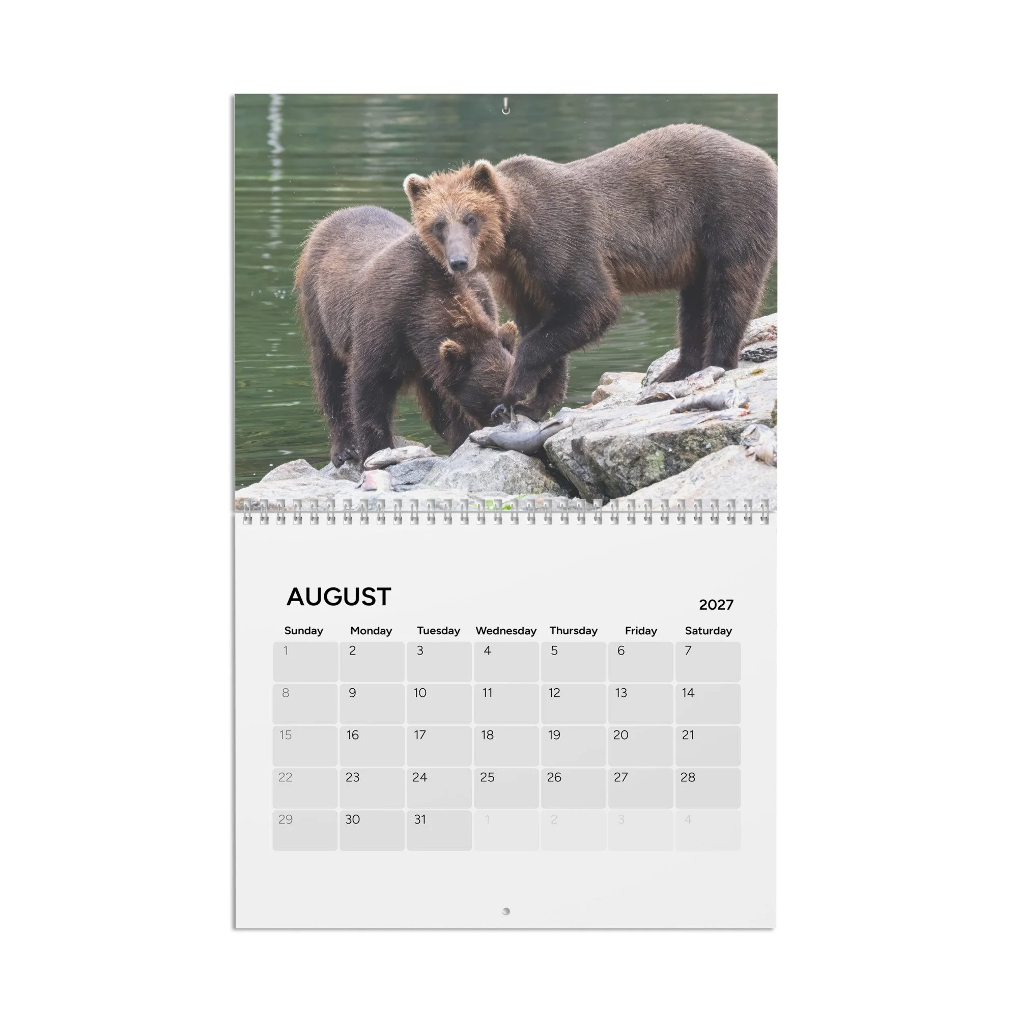 calendar-(2027)-10.8x8.4-front-6acc8ac1071be.jpg