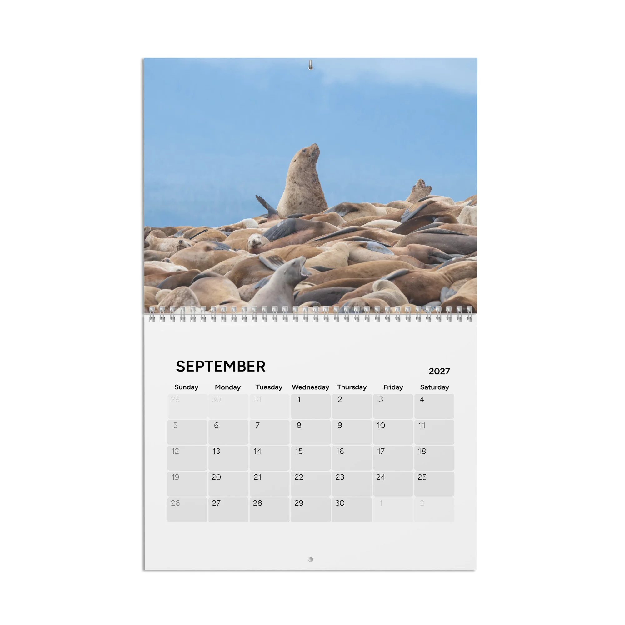 calendar-(2027)-10.8x8.4-front-6acc8ac10720c.jpg