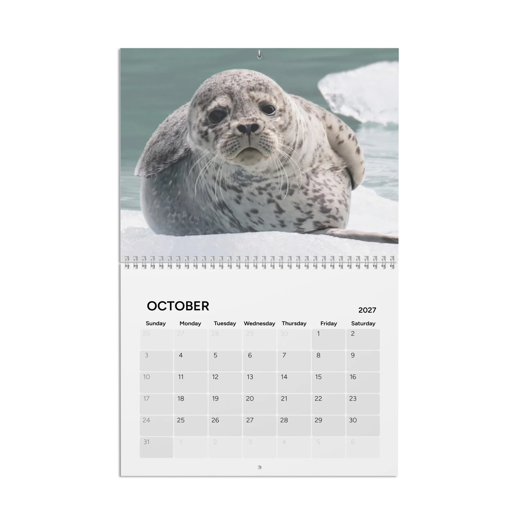 calendar-(2027)-10.8x8.4-front-6acc8ac107259.jpg