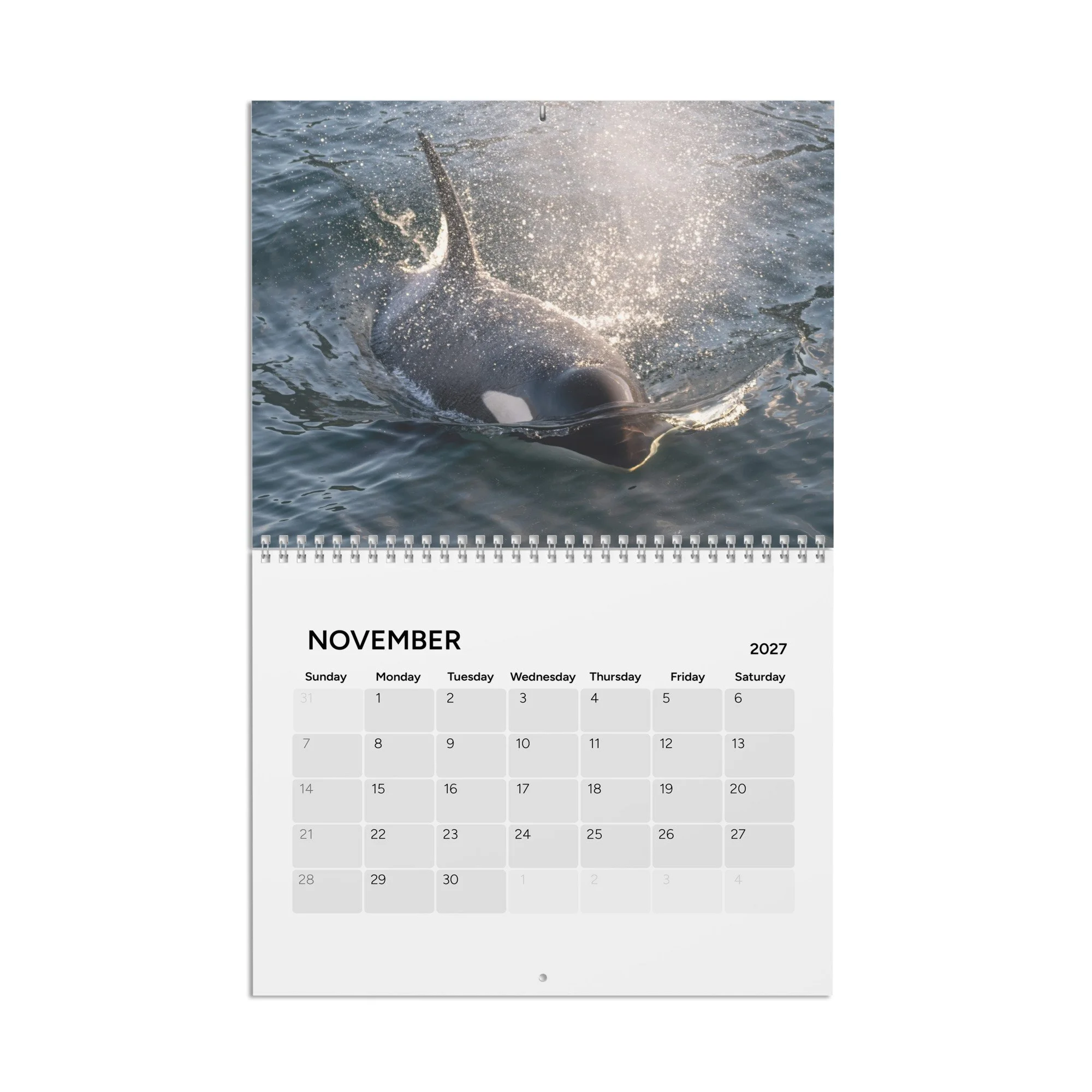 calendar-(2027)-10.8x8.4-front-6acc8ac1072a7.jpg