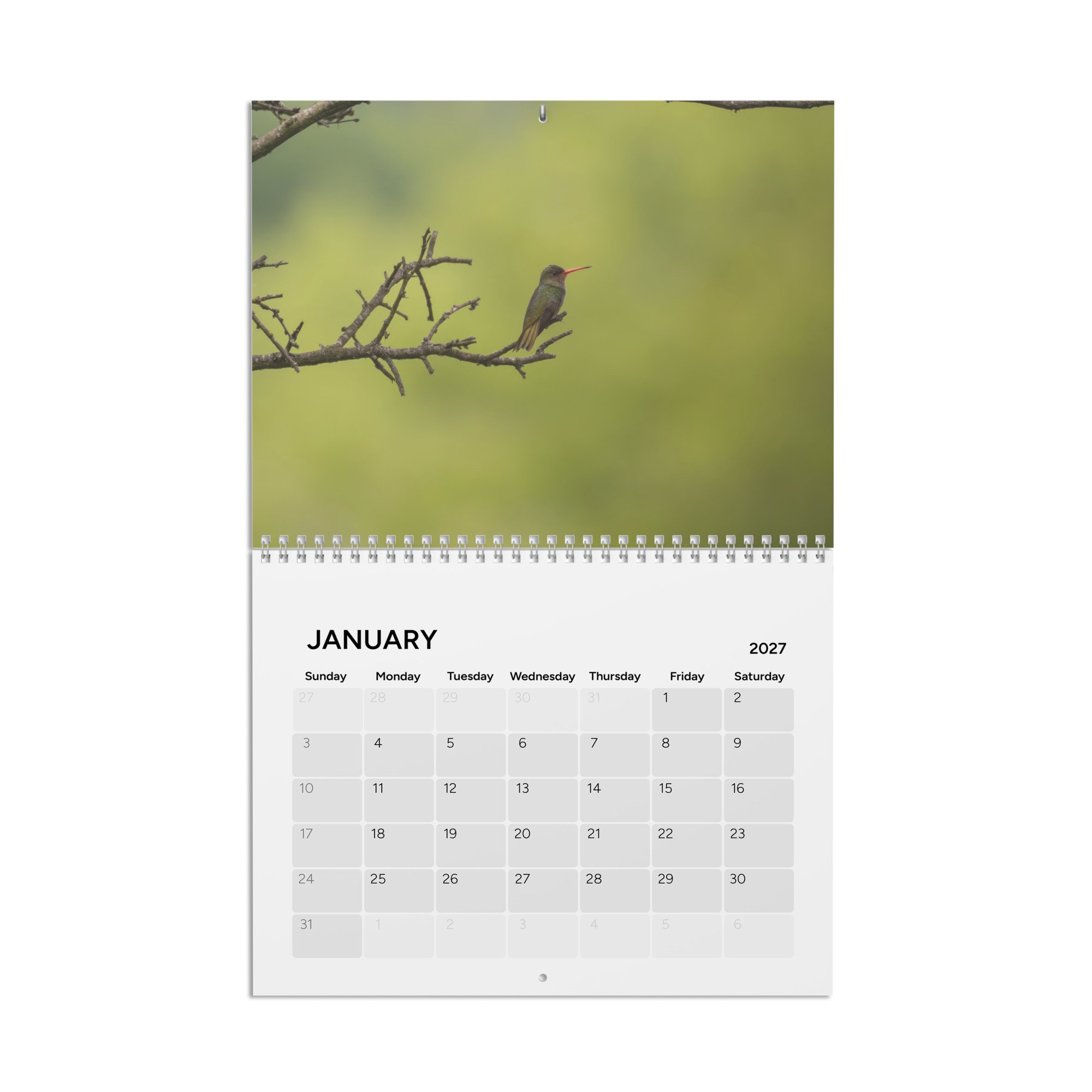 calendar-(2027)-10.8x8.4-front-6acc94302c5ec.jpg