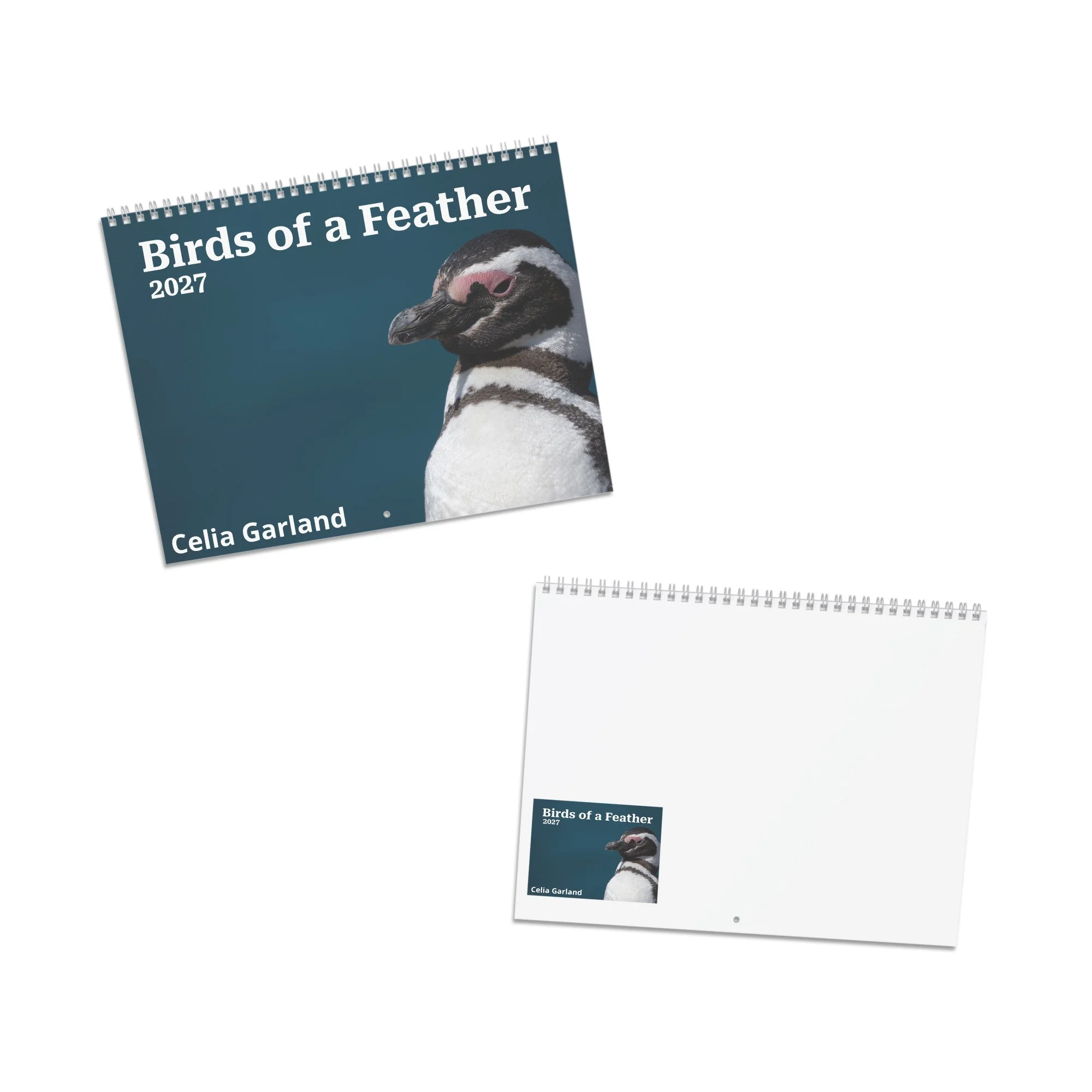 calendar-(2027)-10.8x8.4-front-6acc94302d3ff.jpg