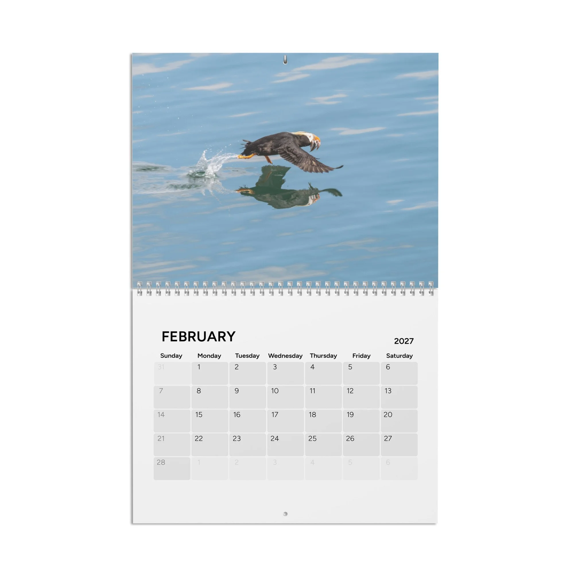 calendar-(2027)-10.8x8.4-front-6acc94302d4c1.jpg