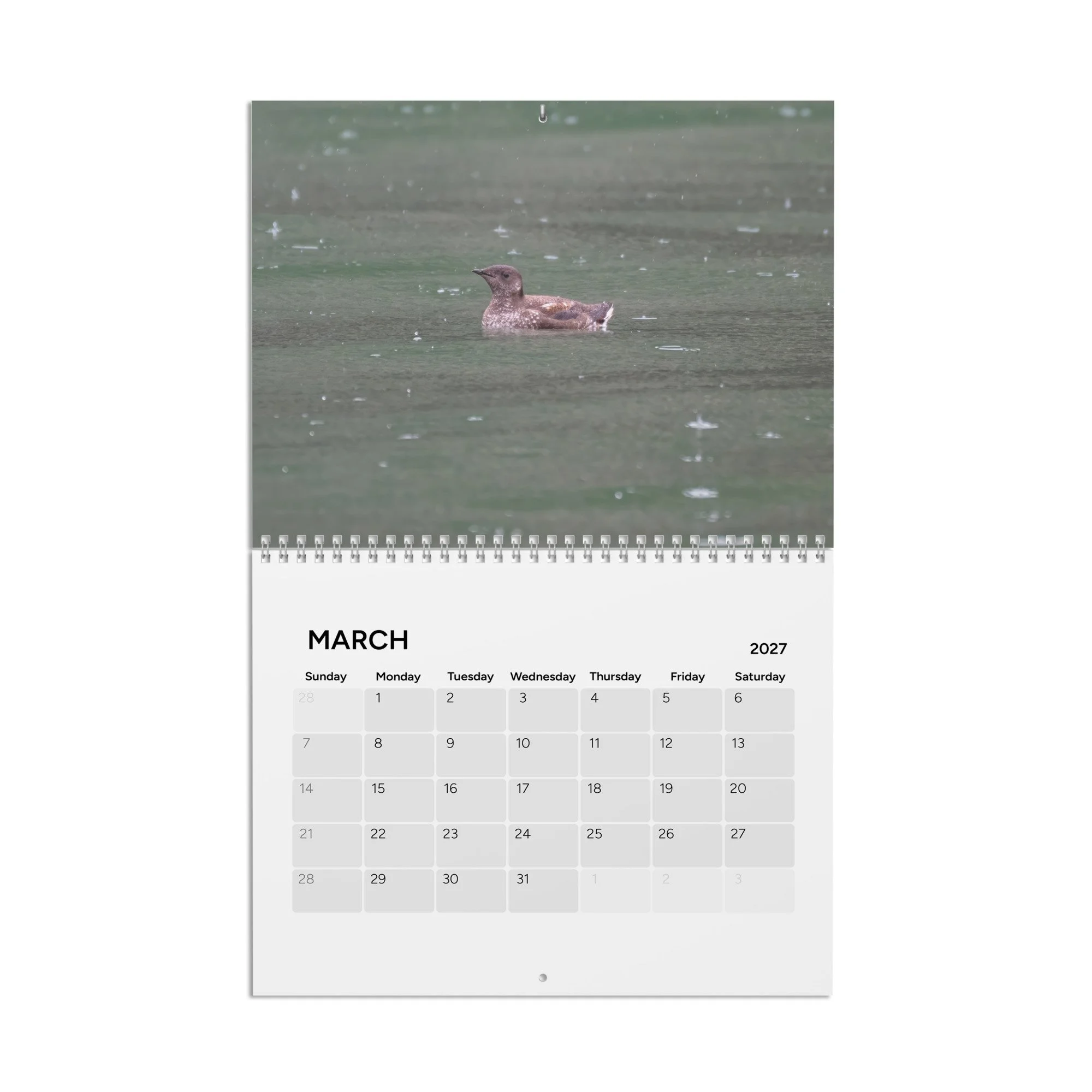 calendar-(2027)-10.8x8.4-front-6acc94302d553.jpg