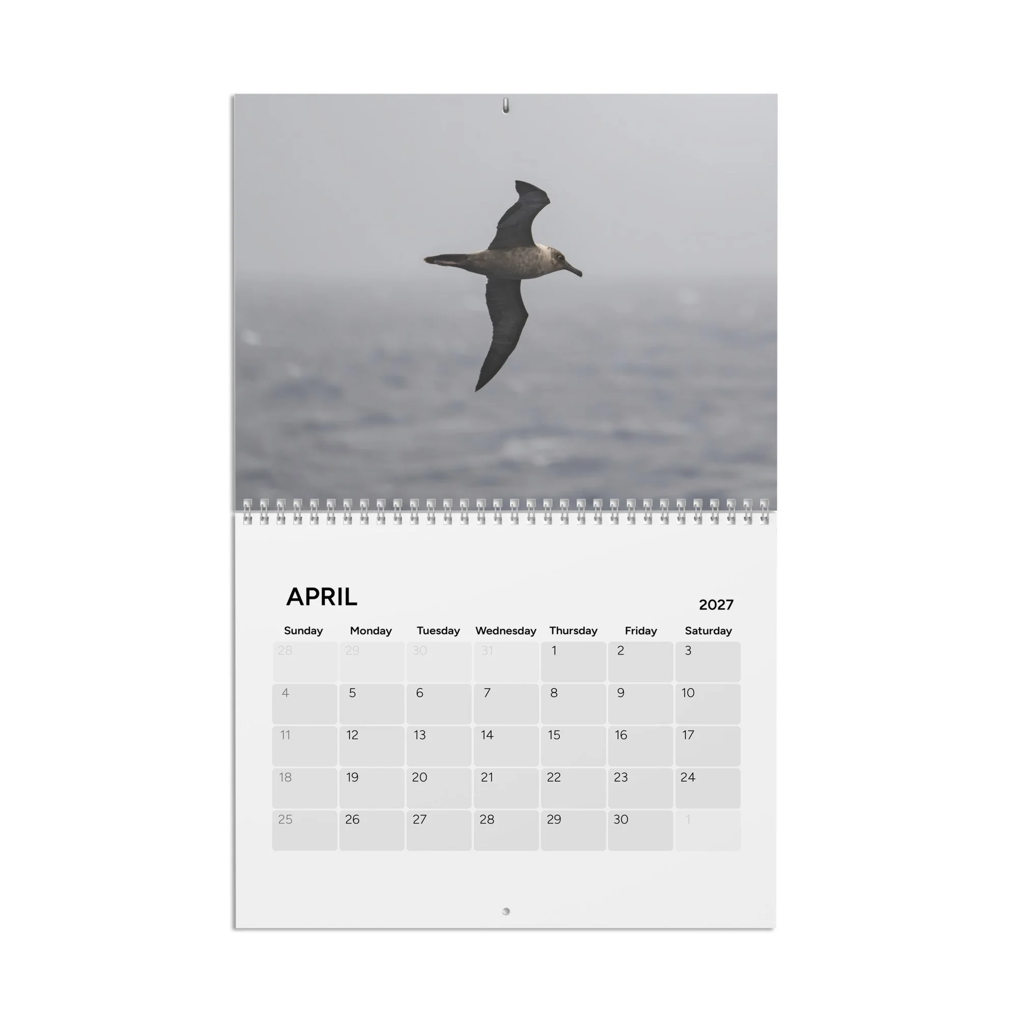 calendar-(2027)-10.8x8.4-front-6acc94302d5db.jpg