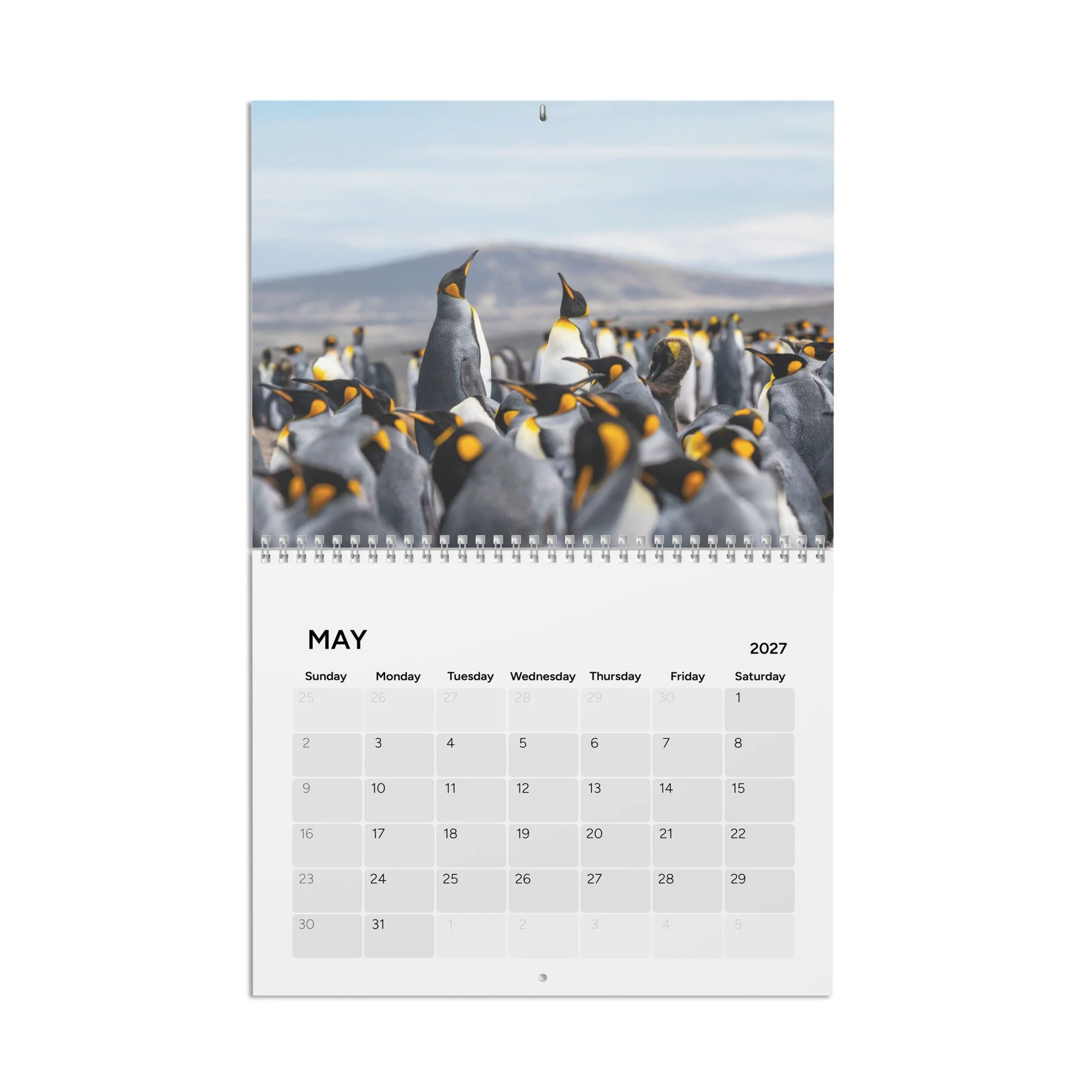 calendar-(2027)-10.8x8.4-front-6acc94302d663.jpg