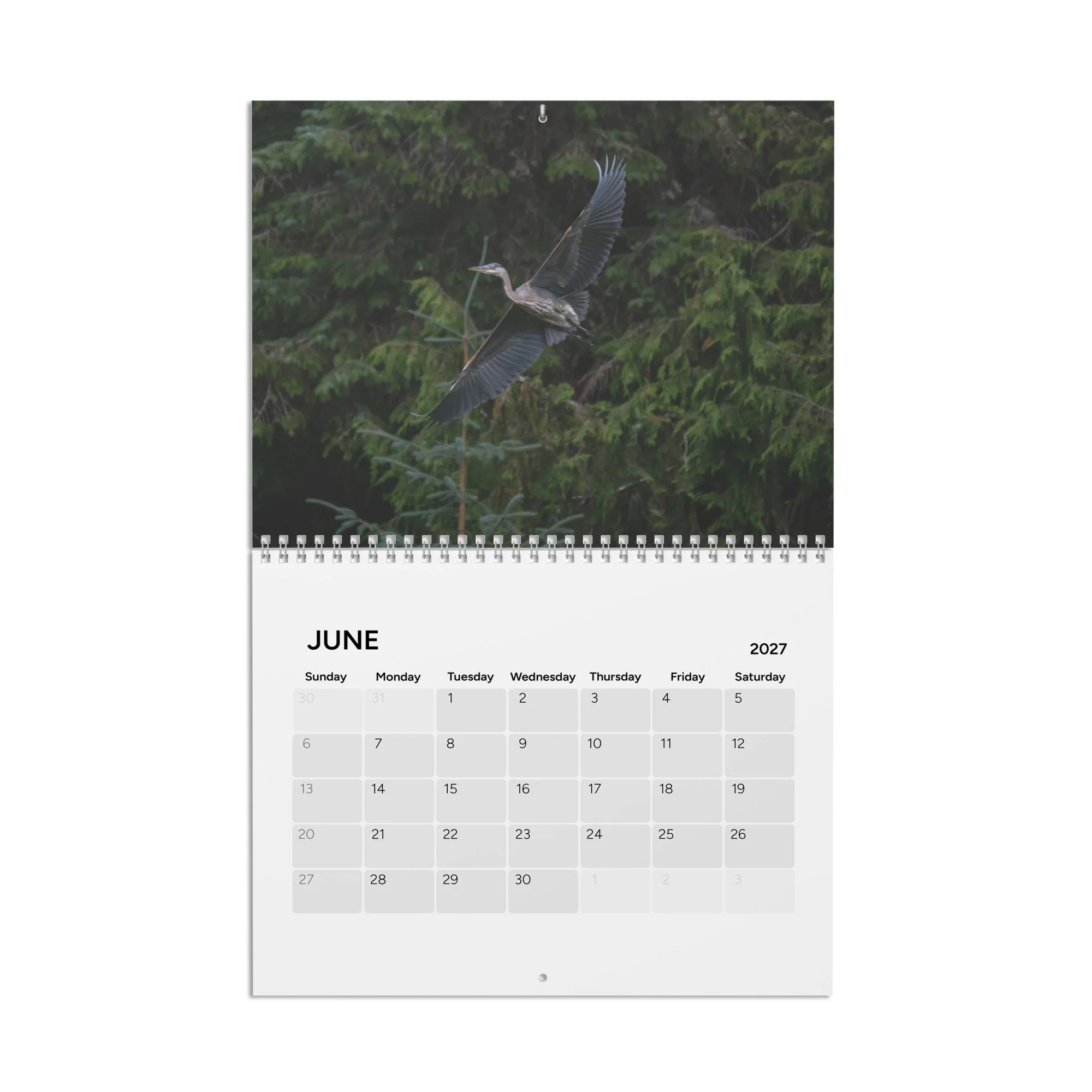 calendar-(2027)-10.8x8.4-front-6acc94302d702.jpg