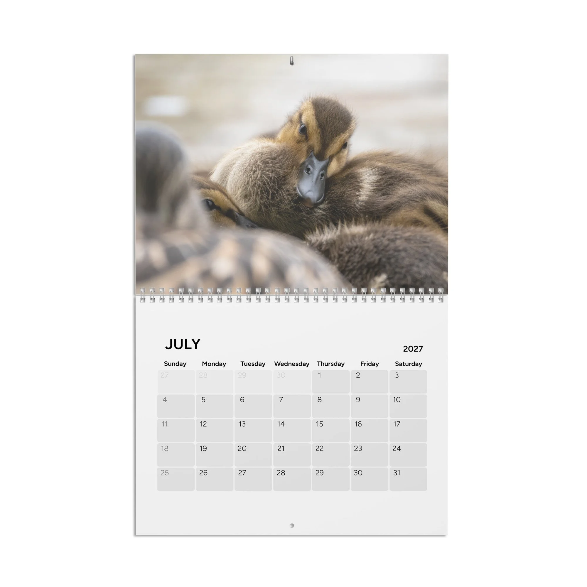 calendar-(2027)-10.8x8.4-front-6acc94302d780.jpg
