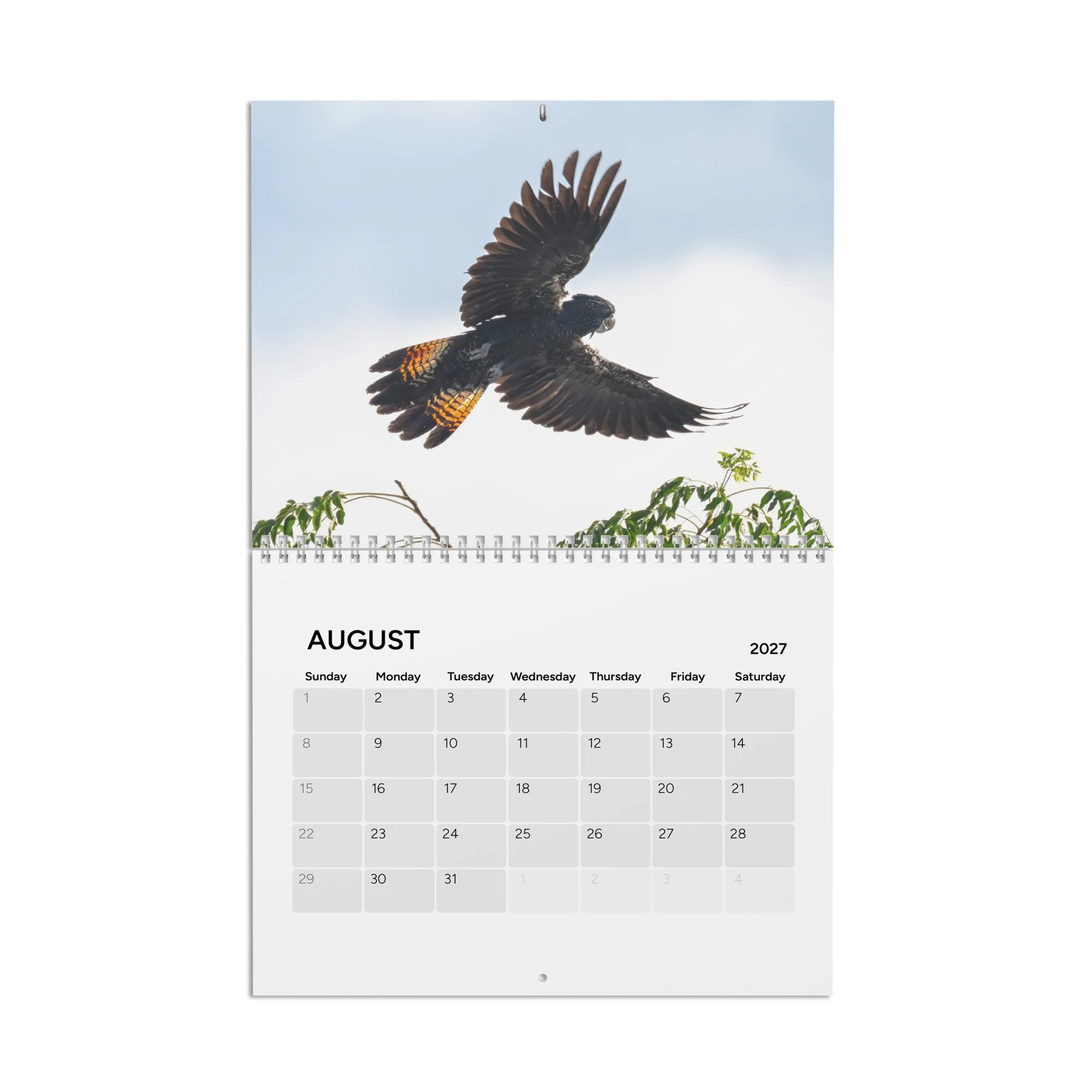calendar-(2027)-10.8x8.4-front-6acc94302d7fb.jpg