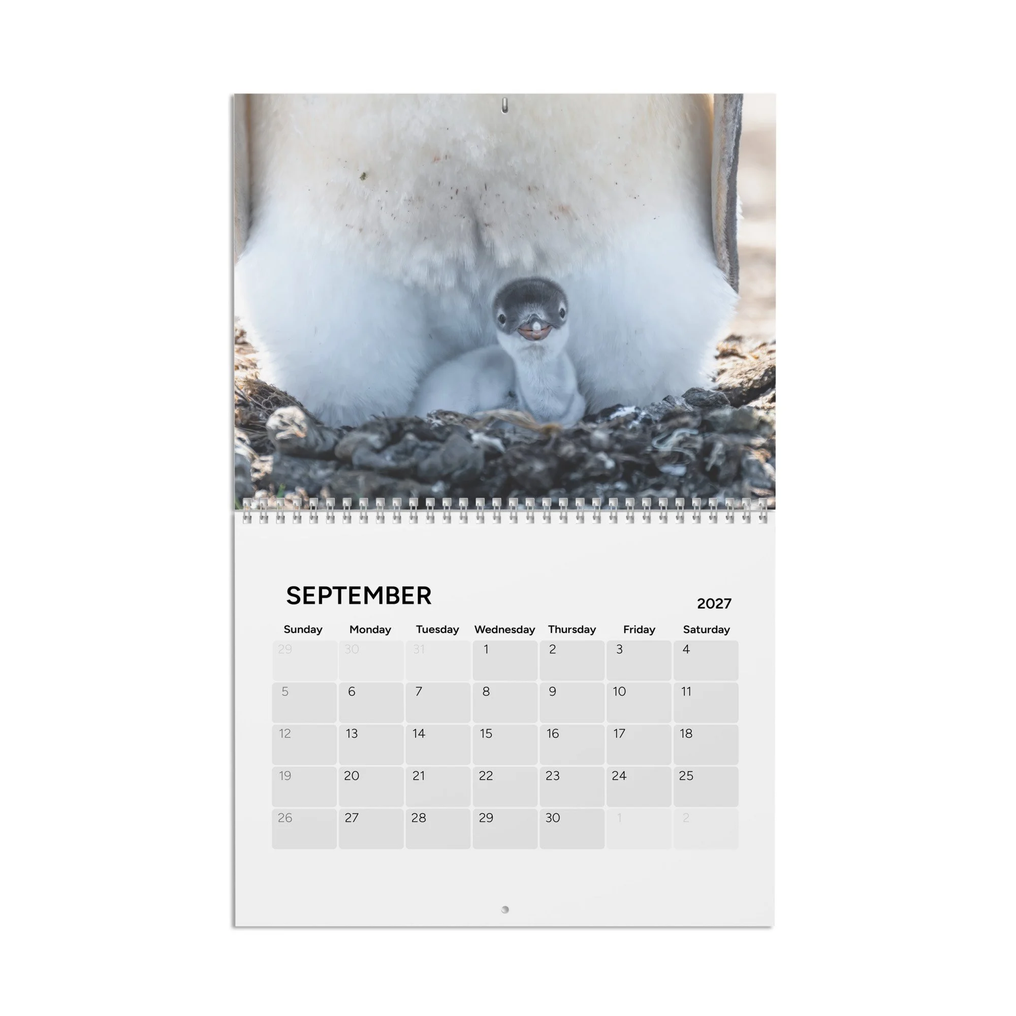 calendar-(2027)-10.8x8.4-front-6acc94302d877.jpg