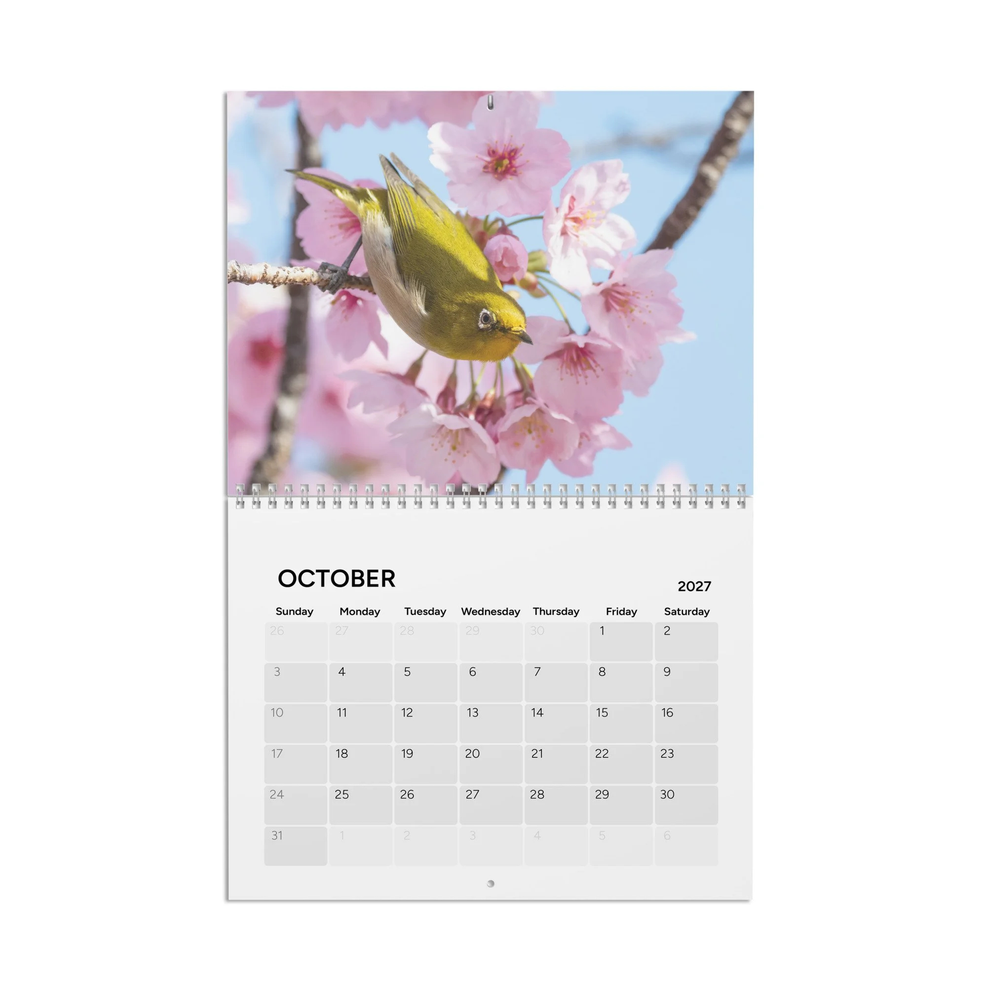 calendar-(2027)-10.8x8.4-front-6acc94302d8f3.jpg
