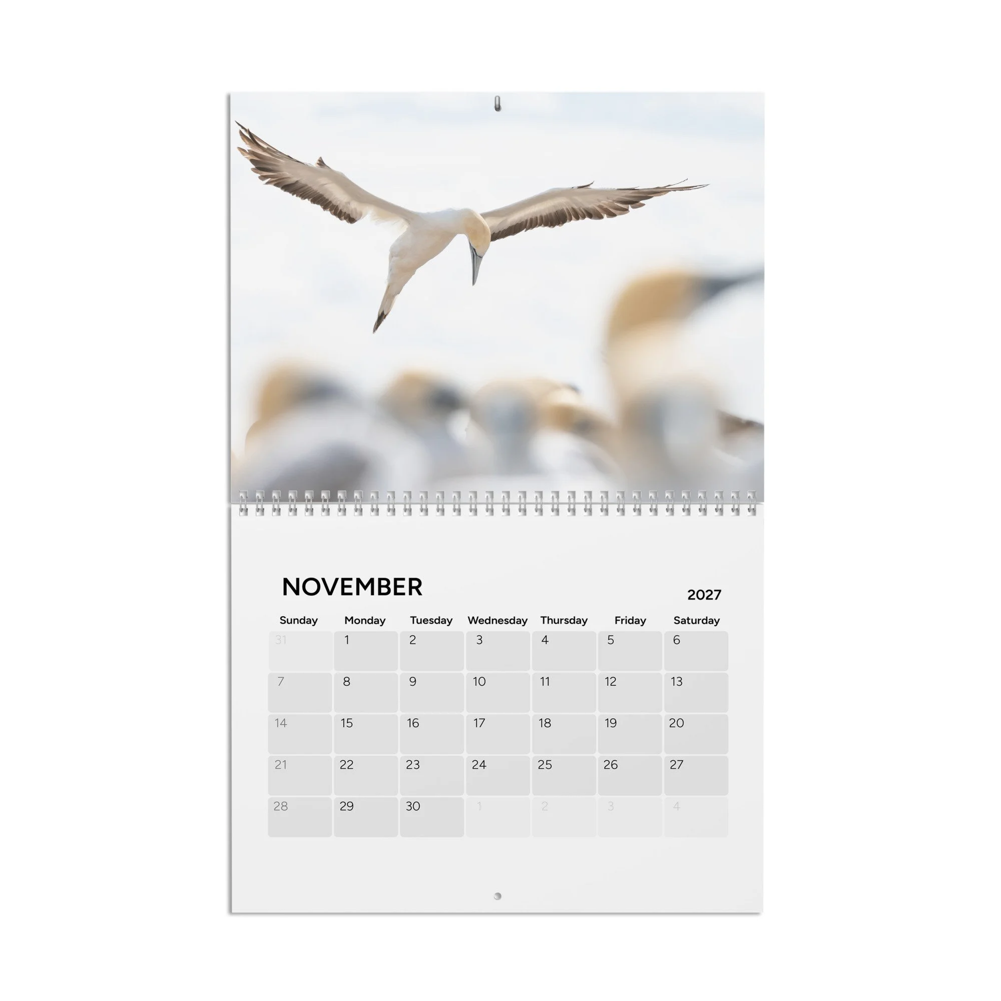 calendar-(2027)-10.8x8.4-front-6acc94302d96f.jpg