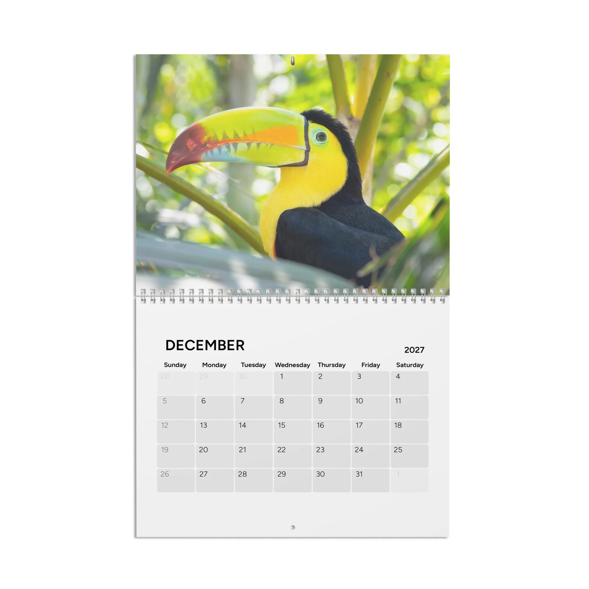 calendar-(2027)-10.8x8.4-front-6acc94302d9e9.jpg