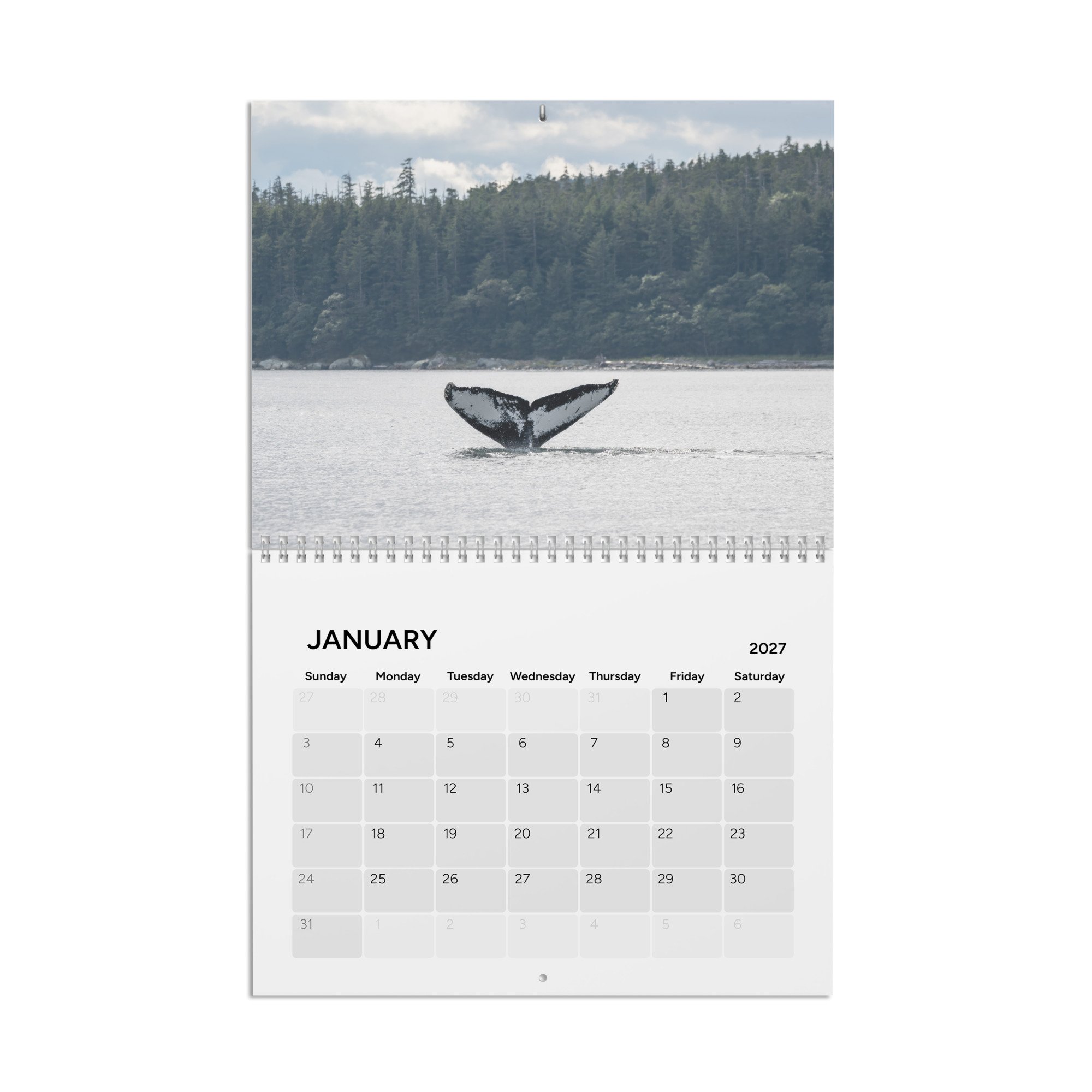 calendar-(2027)-10.8x8.4-front-6accad8cd4d0f.jpg