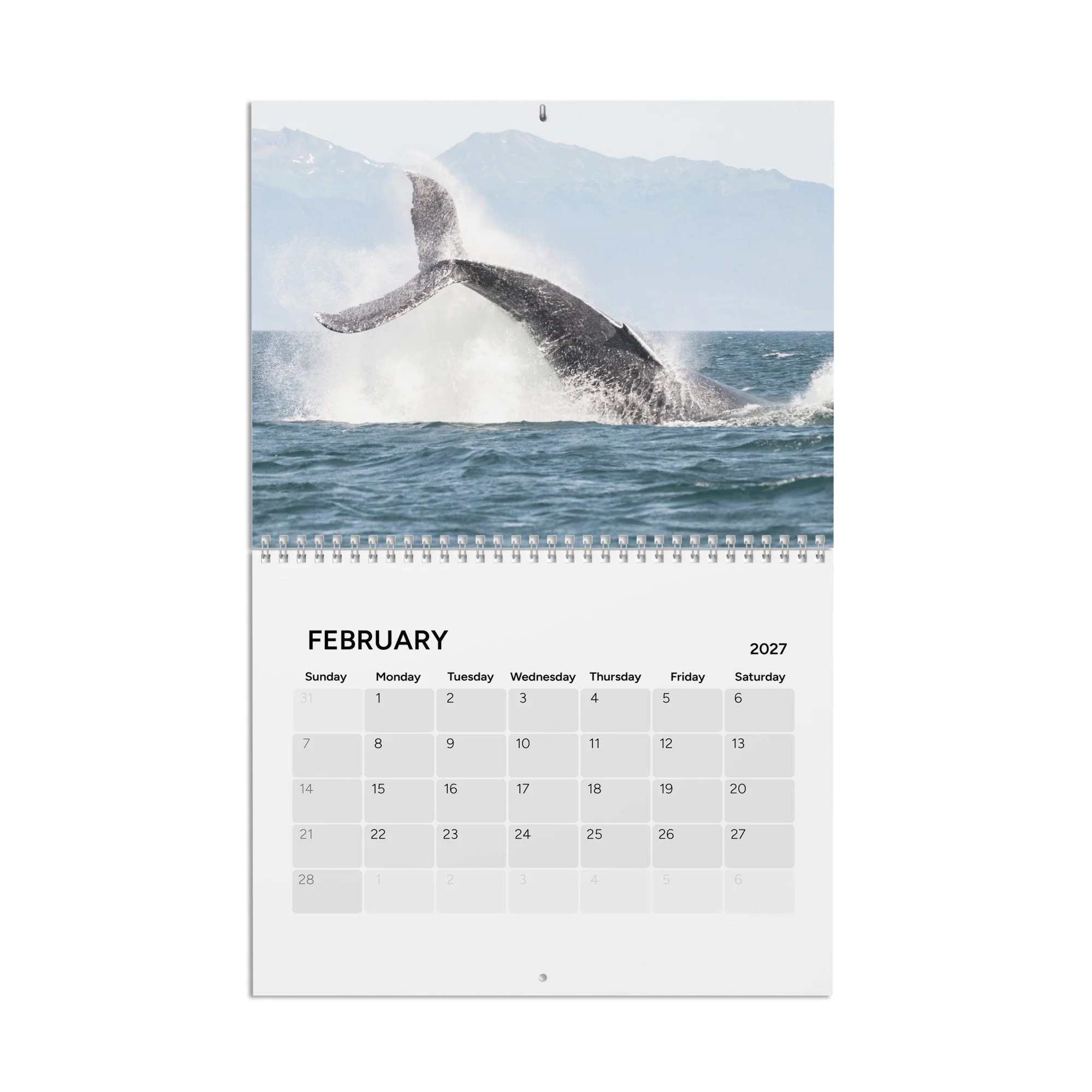 calendar-(2027)-10.8x8.4-front-6accad8cd4d78.jpg