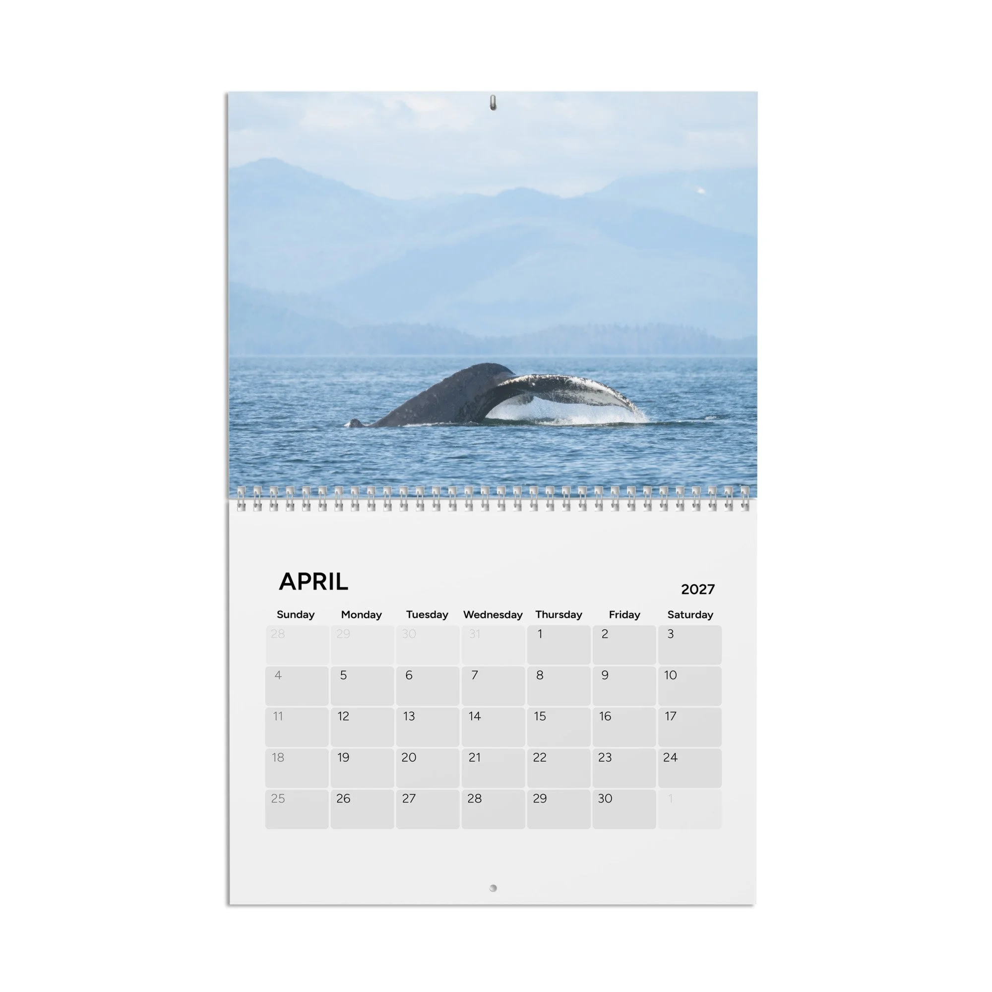 calendar-(2027)-10.8x8.4-front-6accad8cd4e1c.jpg