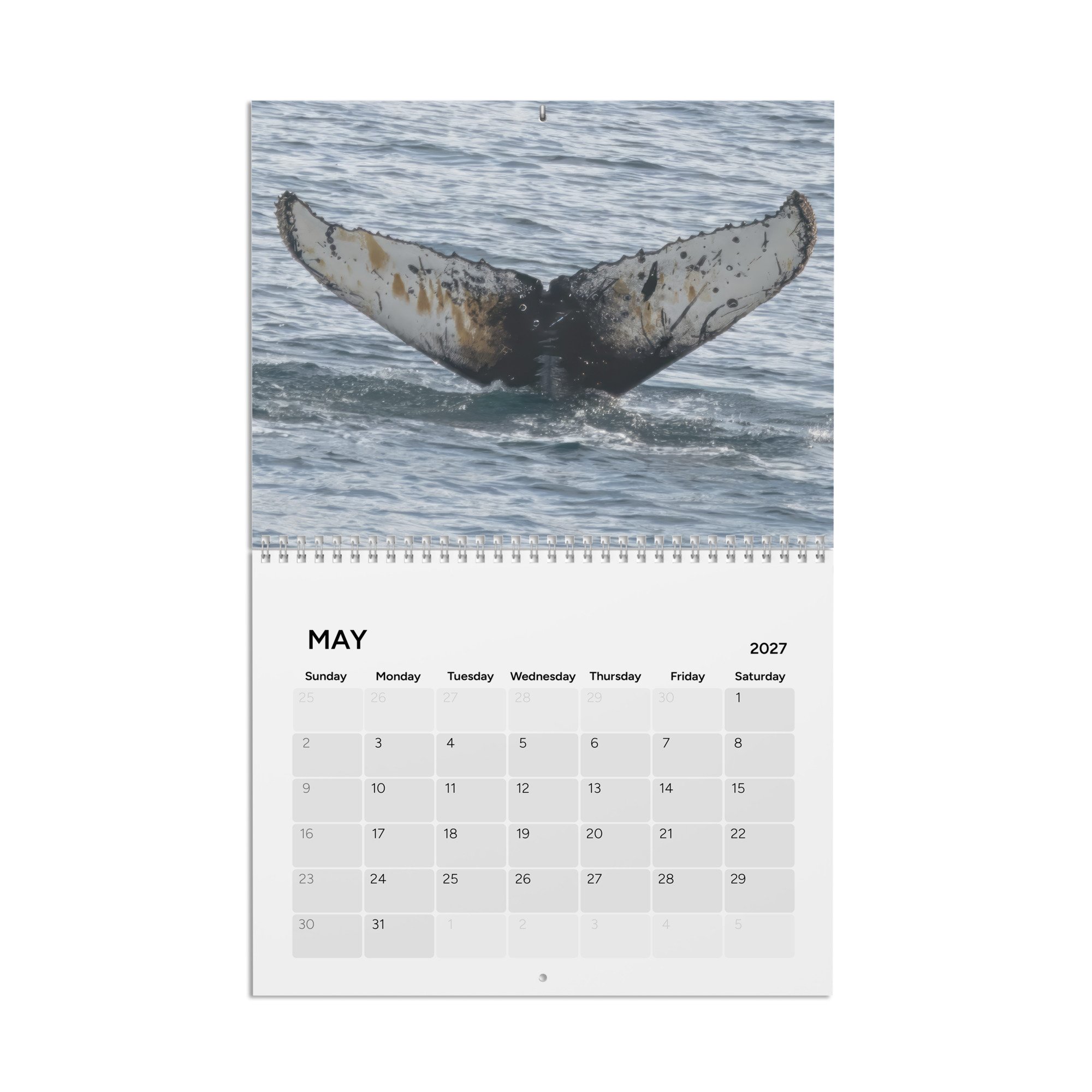 calendar-(2027)-10.8x8.4-front-6accad8cd4e6b.jpg