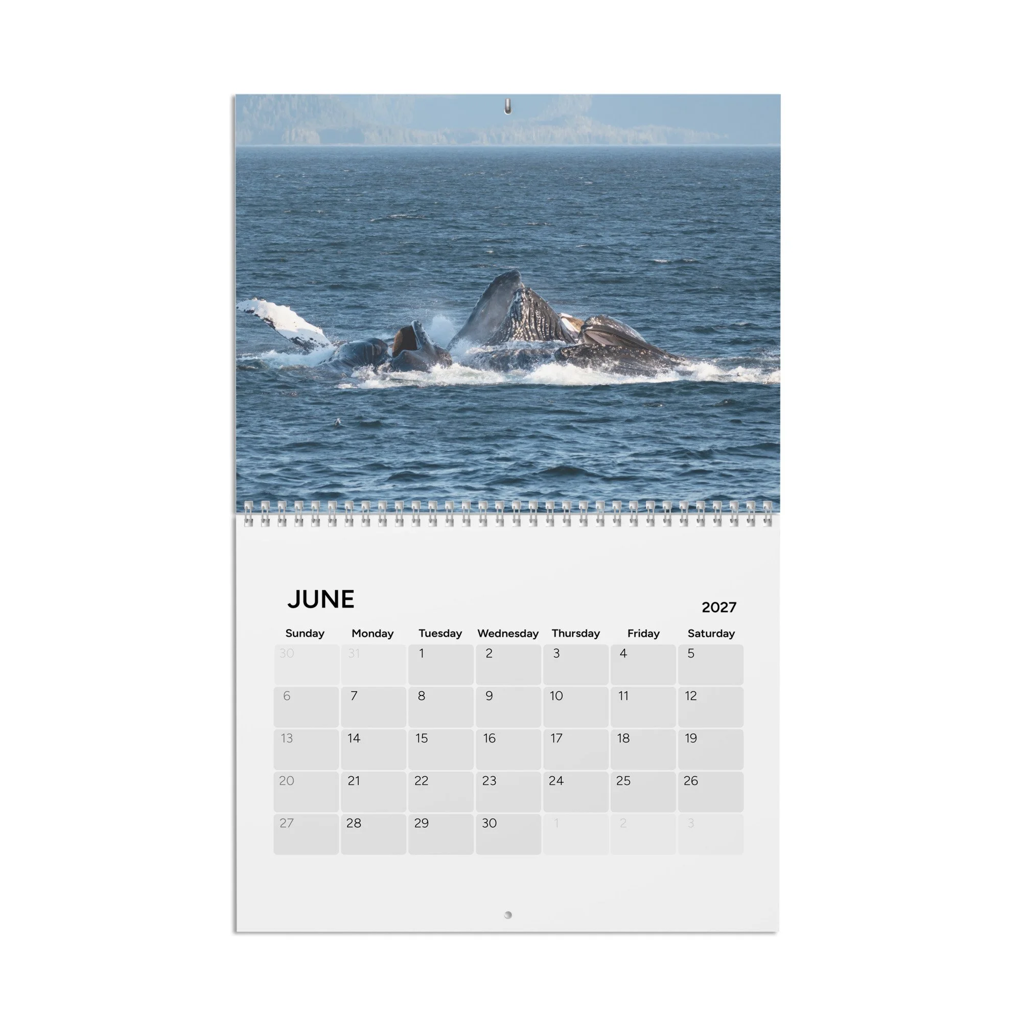 calendar-(2027)-10.8x8.4-front-6accad8cd4eb9.jpg