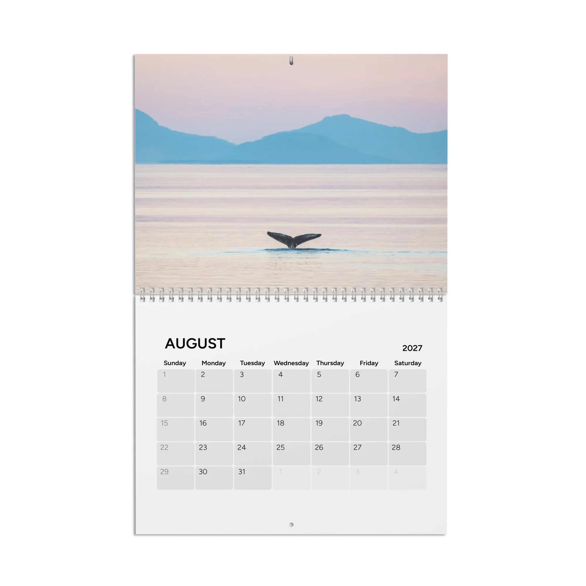 calendar-(2027)-10.8x8.4-front-6accad8cd4f54.jpg