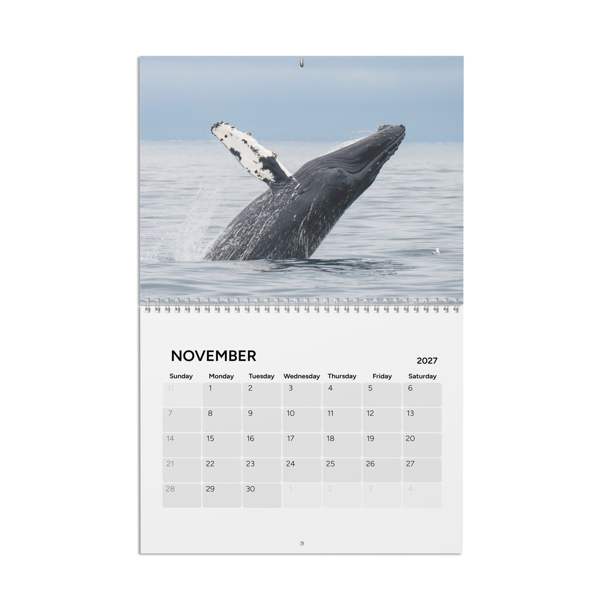 calendar-(2027)-10.8x8.4-front-6accad8cd5041.jpg