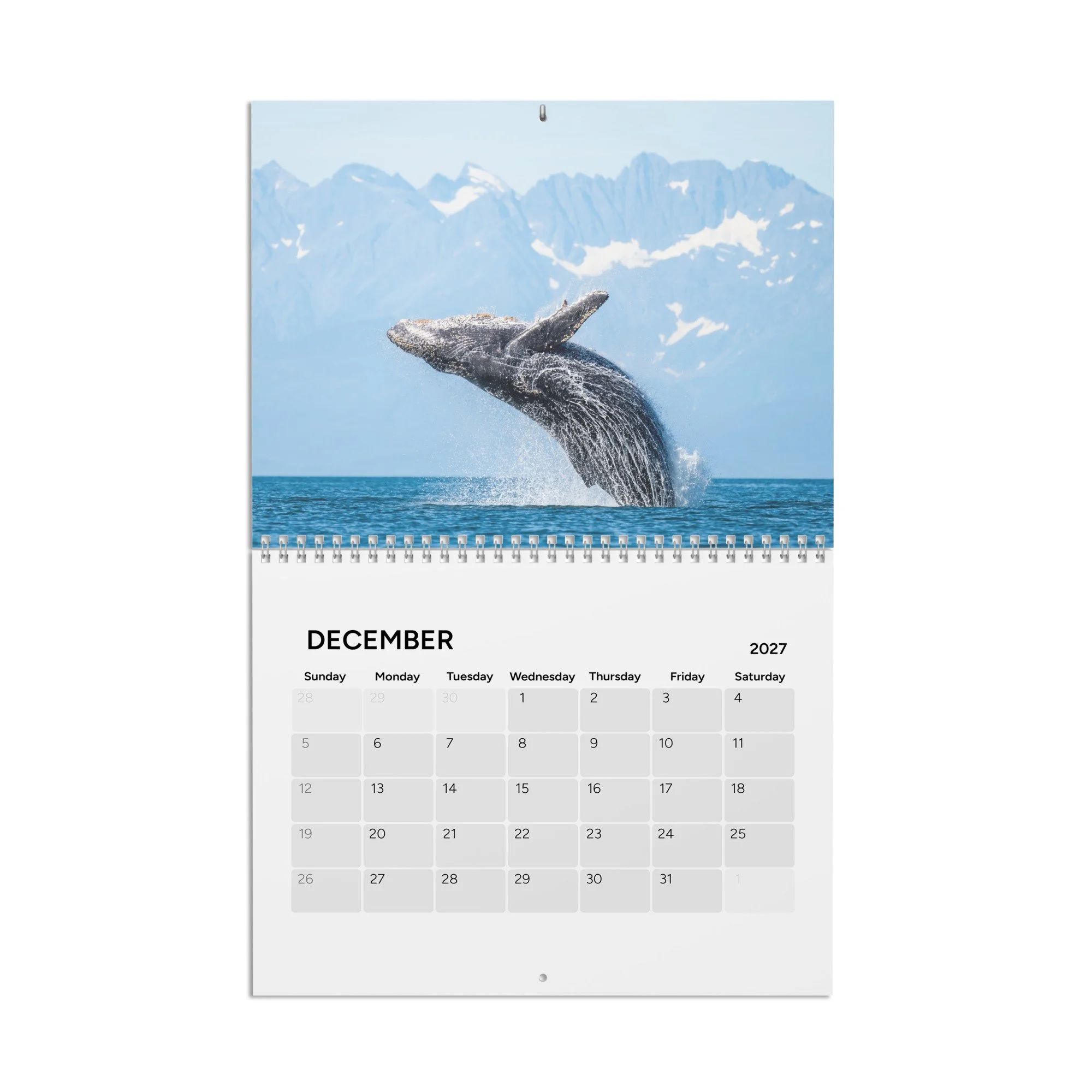 calendar-(2027)-10.8x8.4-front-6accad8cd5090.jpg