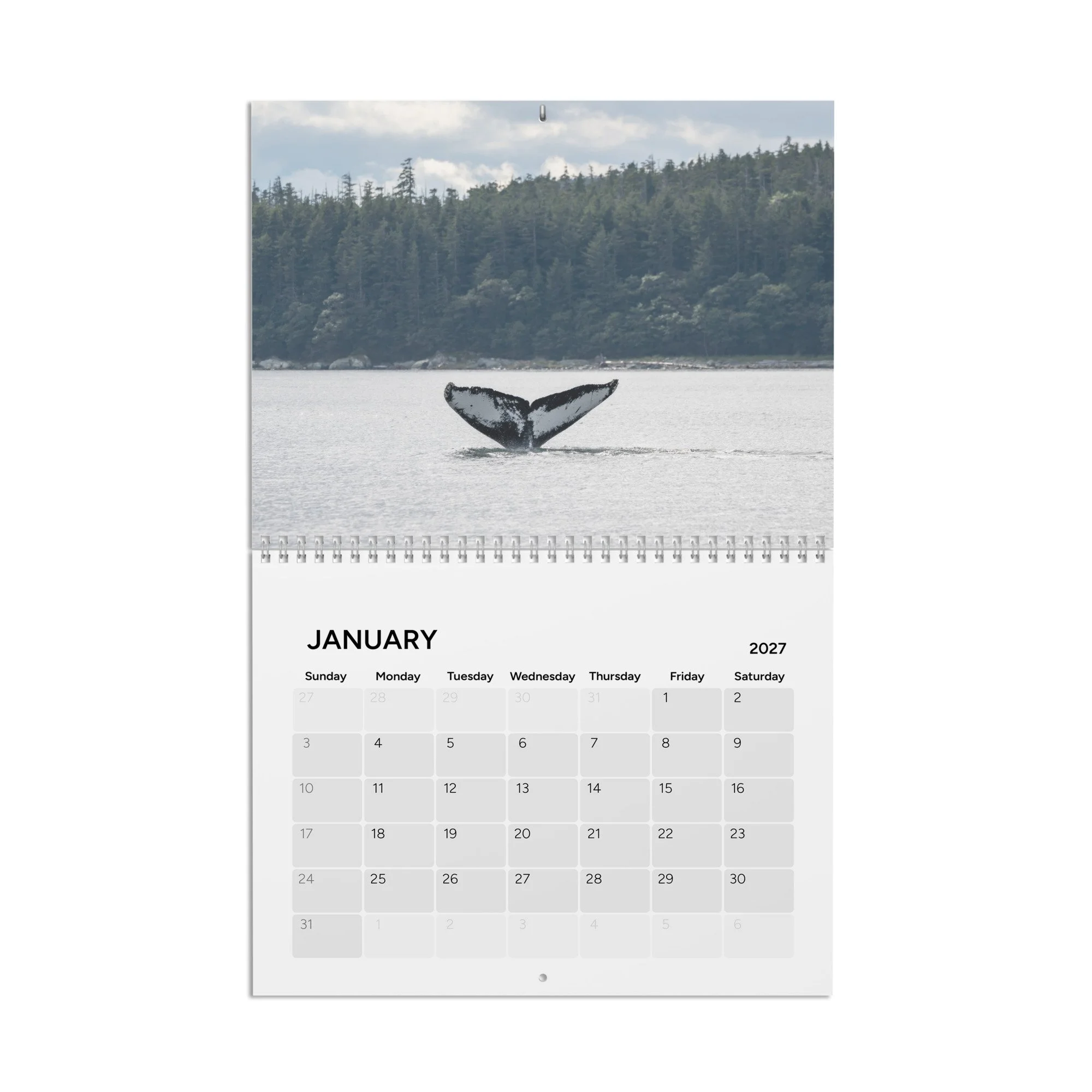 calendar-(2027)-10.8x8.4-front-6accb35880b84.jpg