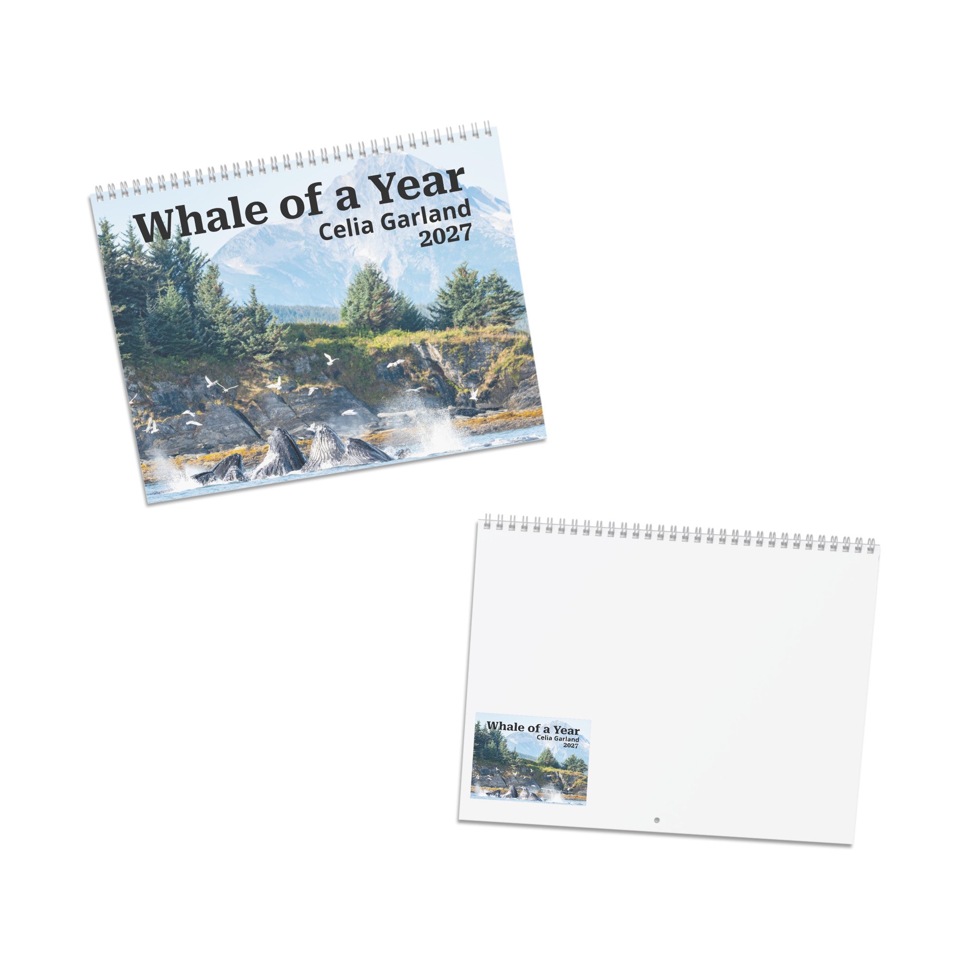 calendar-(2027)-10.8x8.4-front-6accb35881147.jpg