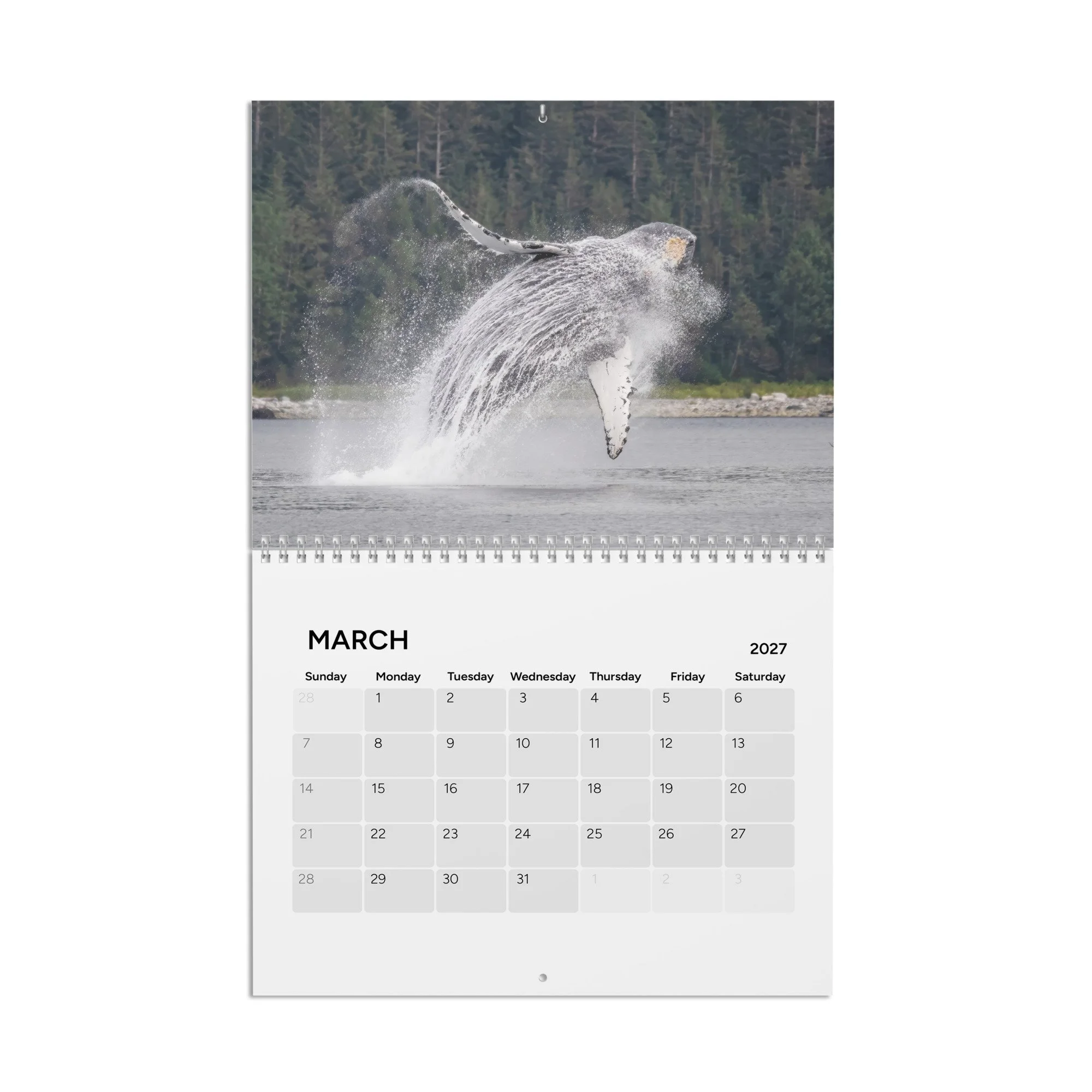 calendar-(2027)-10.8x8.4-front-6accb358812bd.jpg