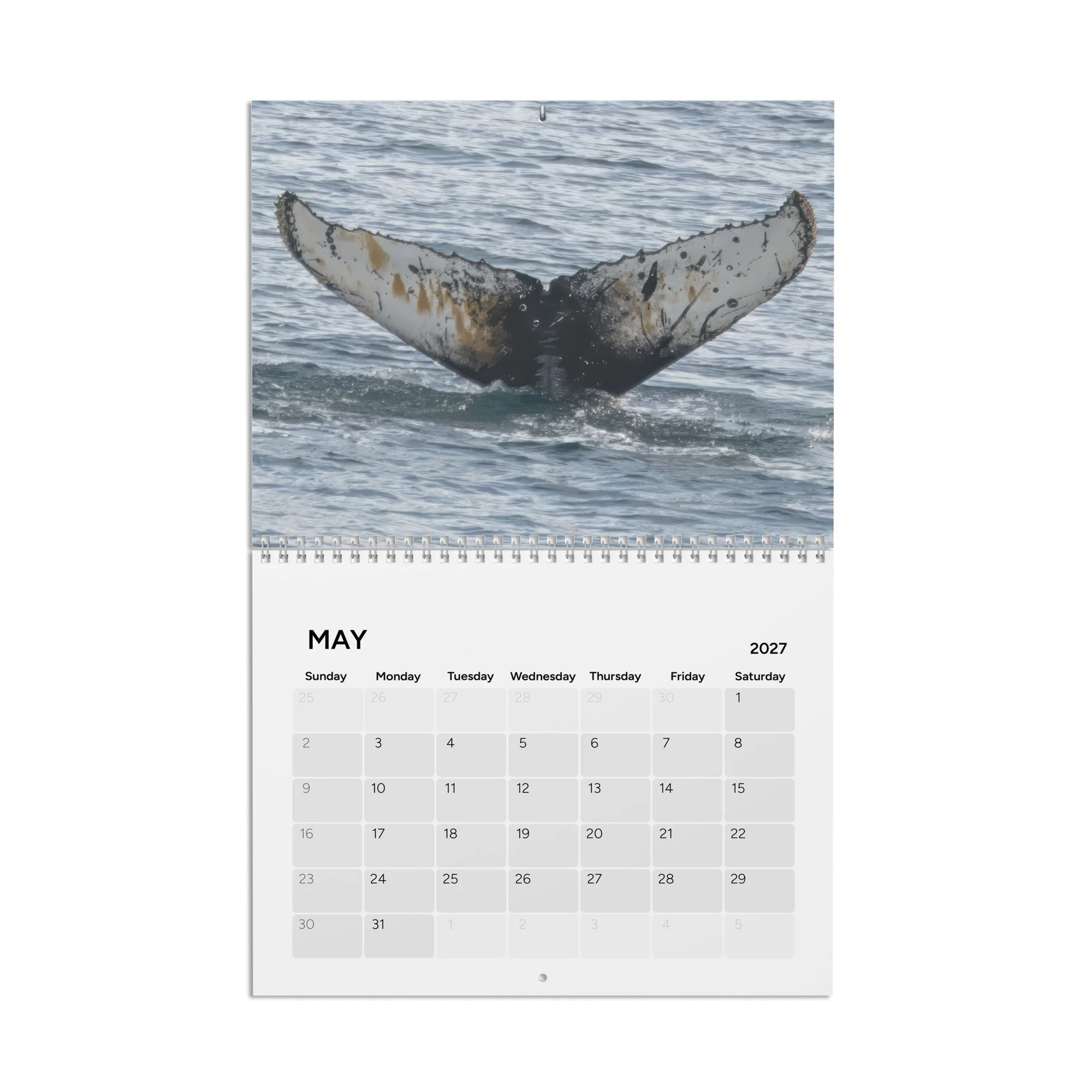 calendar-(2027)-10.8x8.4-front-6accb358813f8.jpg