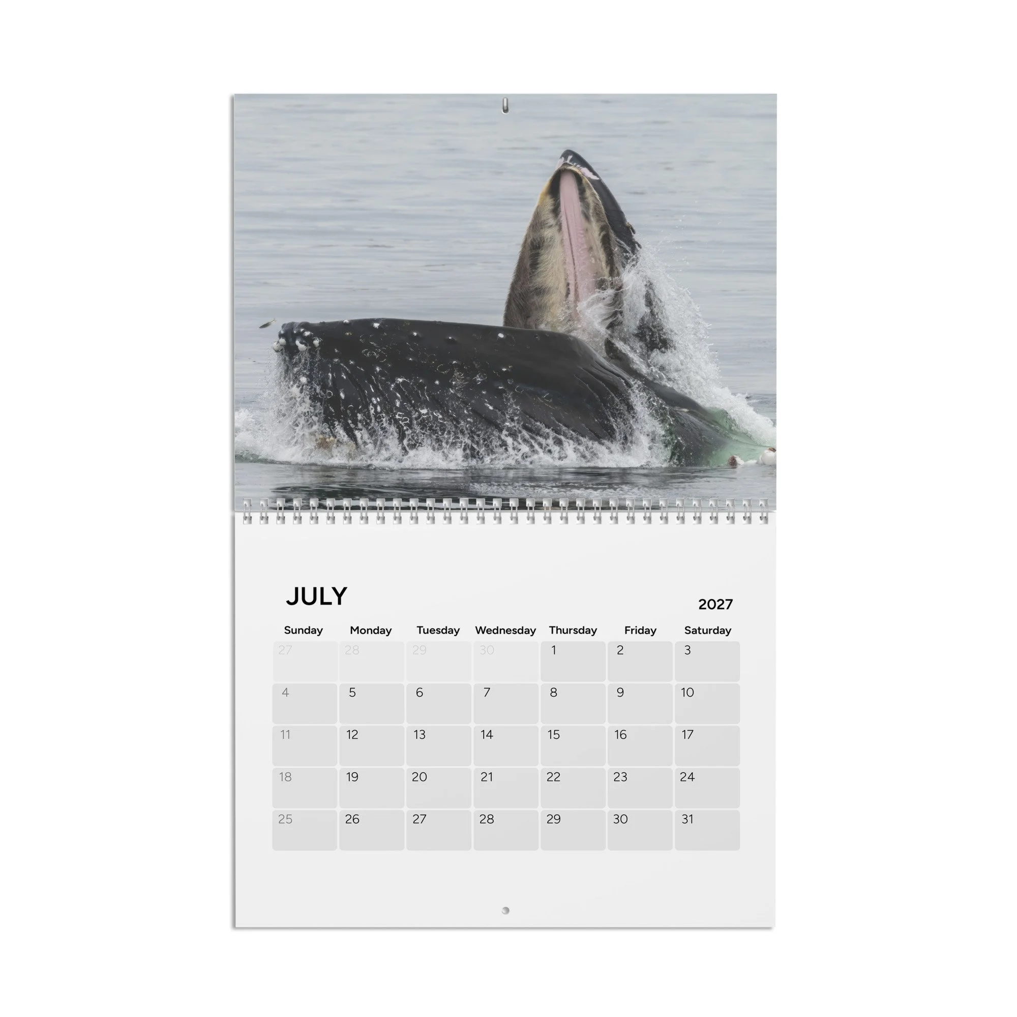 calendar-(2027)-10.8x8.4-front-6accb35881519.jpg
