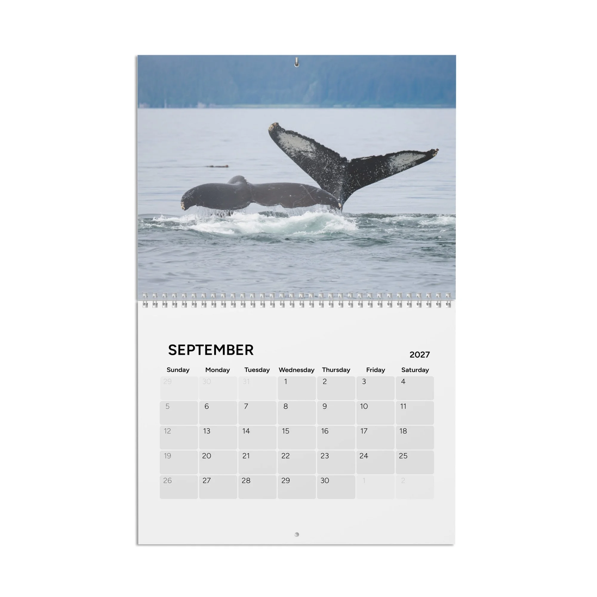 calendar-(2027)-10.8x8.4-front-6accb35881633.jpg