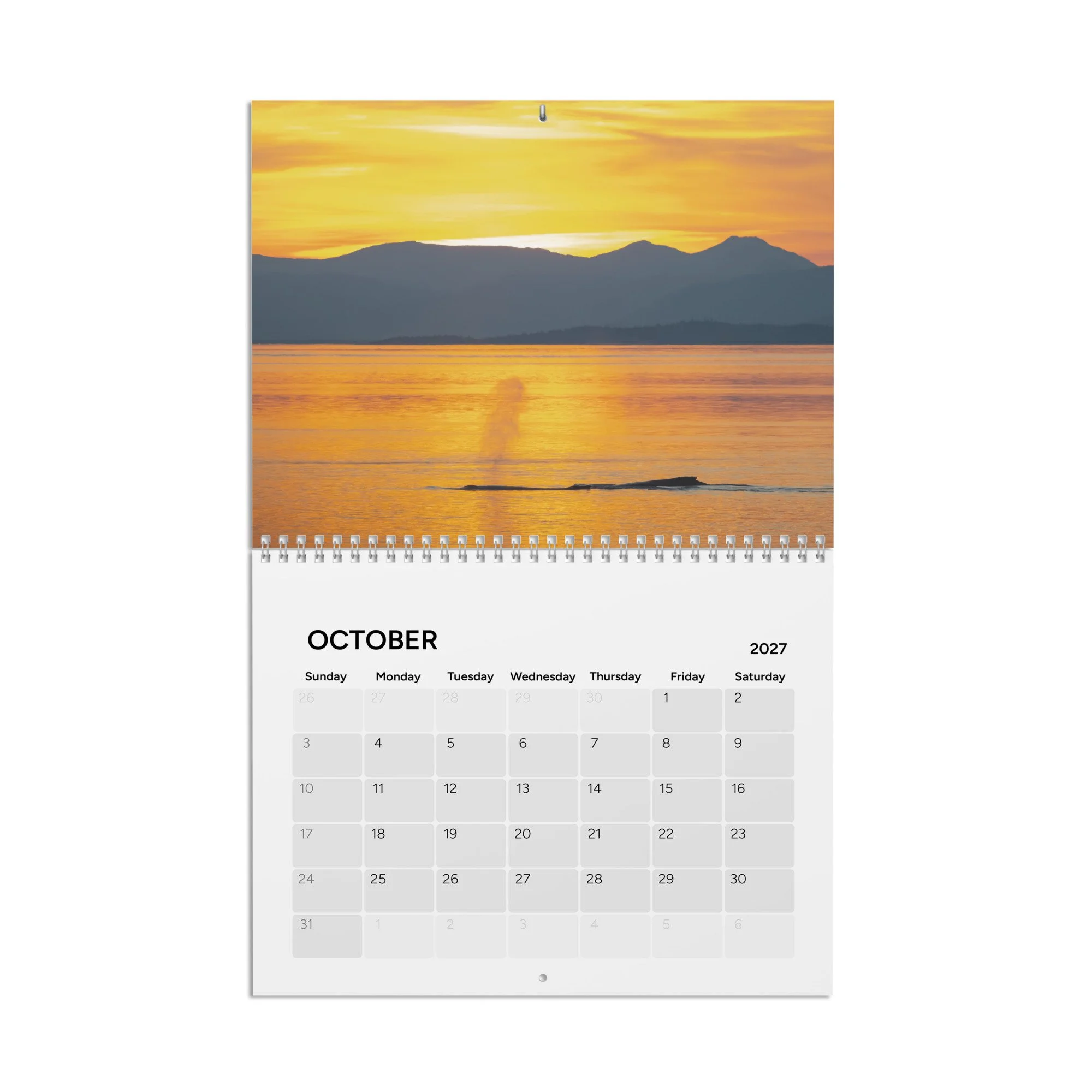 calendar-(2027)-10.8x8.4-front-6accb358816b8.jpg